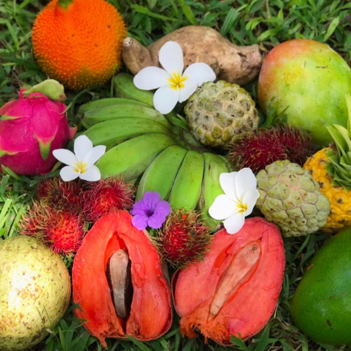 Premium Fresh Fruit Variety Box - 9-13 lbs.