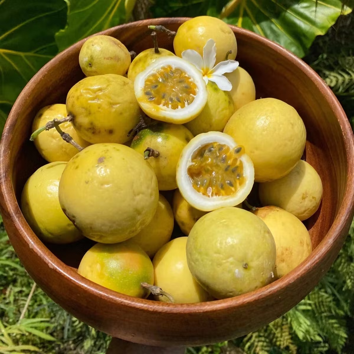 Golden Passionfruit Box