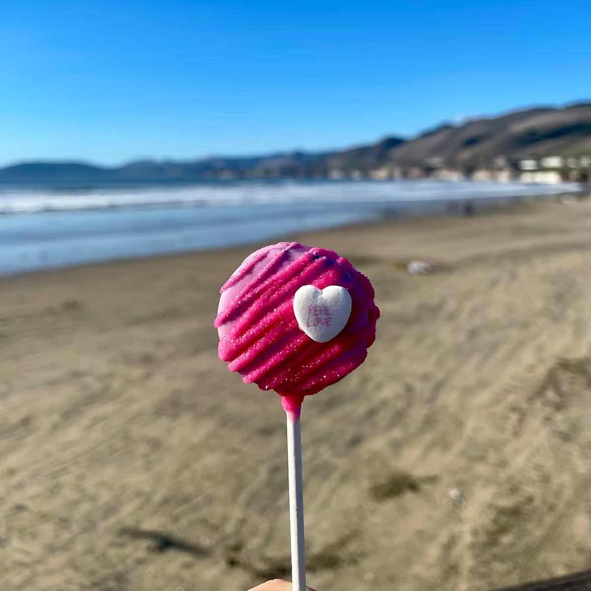 Valentine's Day Cake Pops - 12 Pack