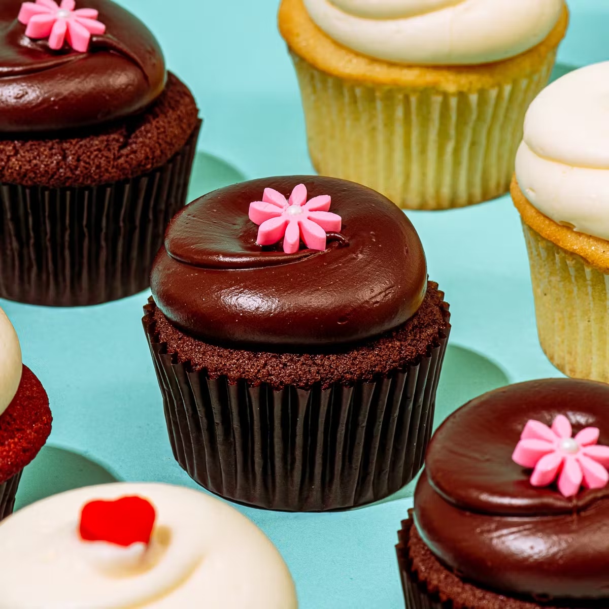 20313-classic-cupcake-dozen-1.jpg
