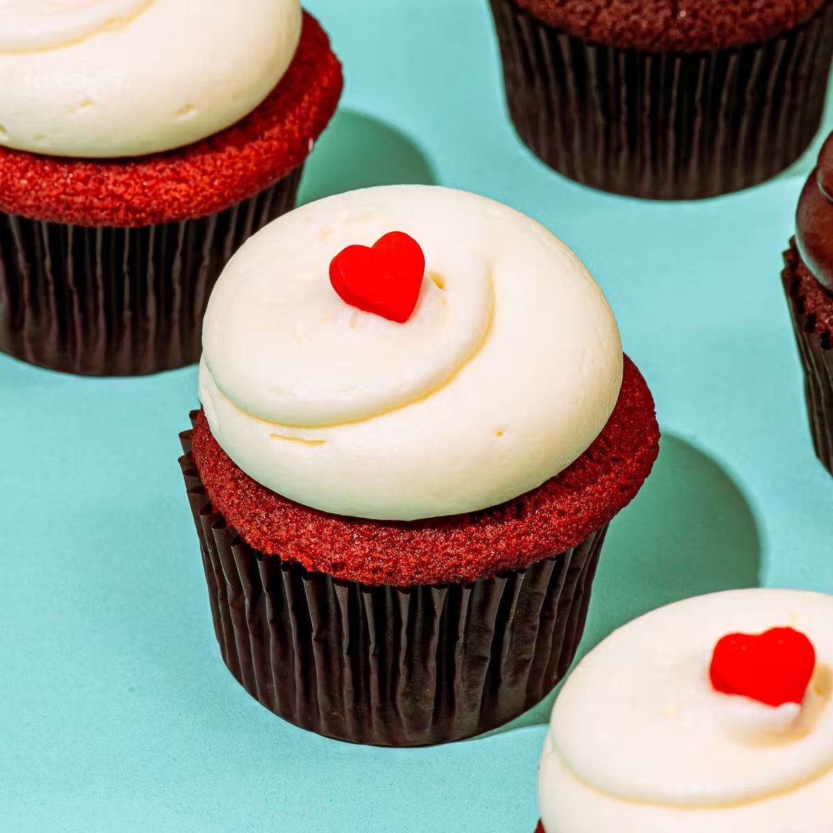 20313-classic-cupcake-dozen-1.jpg