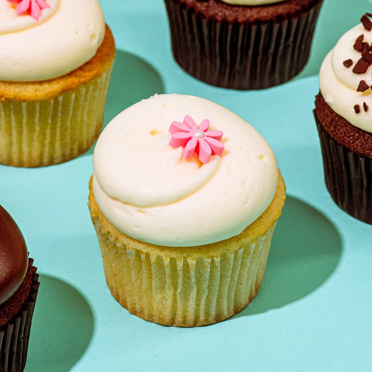 20313-classic-cupcake-dozen-1.jpg