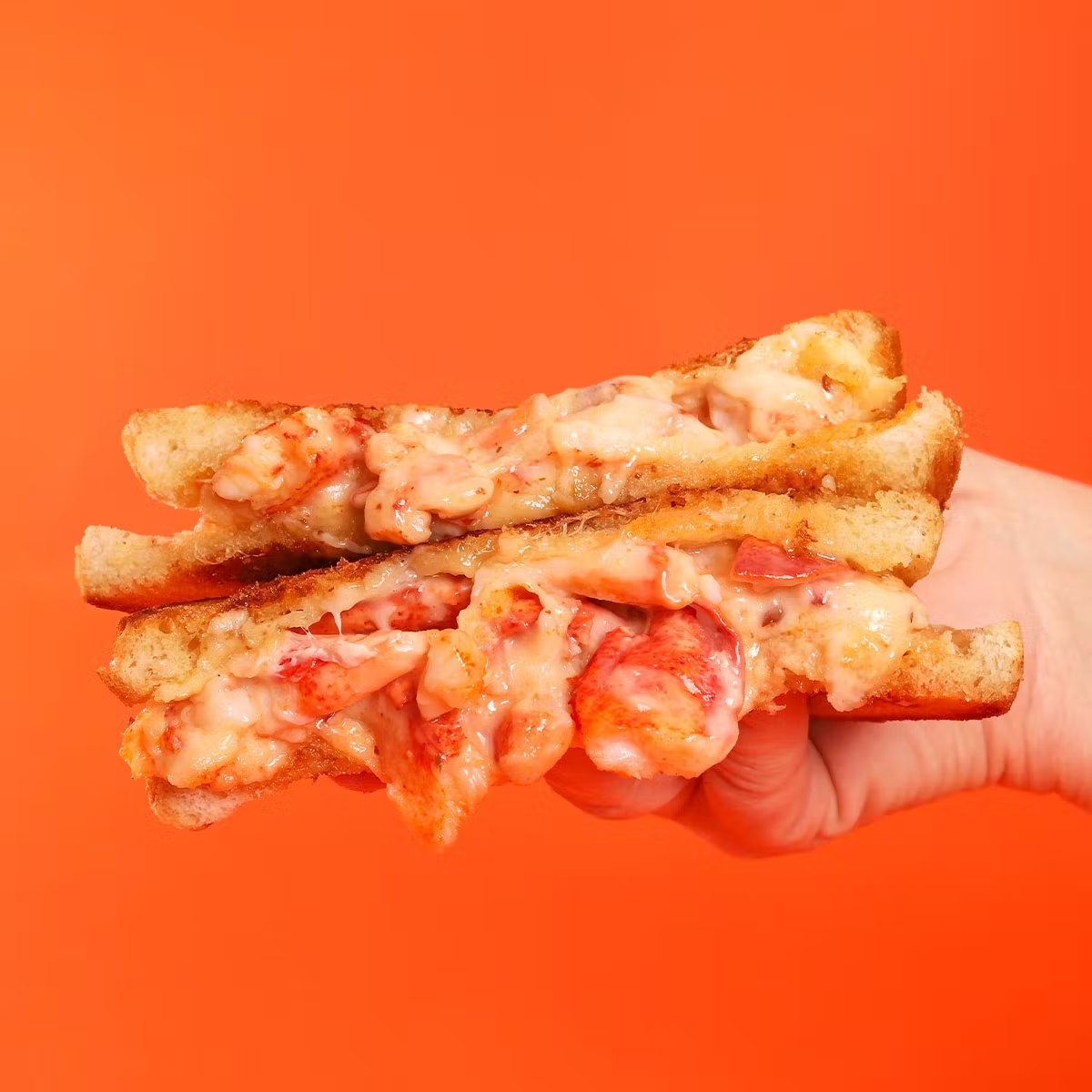 20439-lobster-grilled-cheese-4-pack-1.jpg
