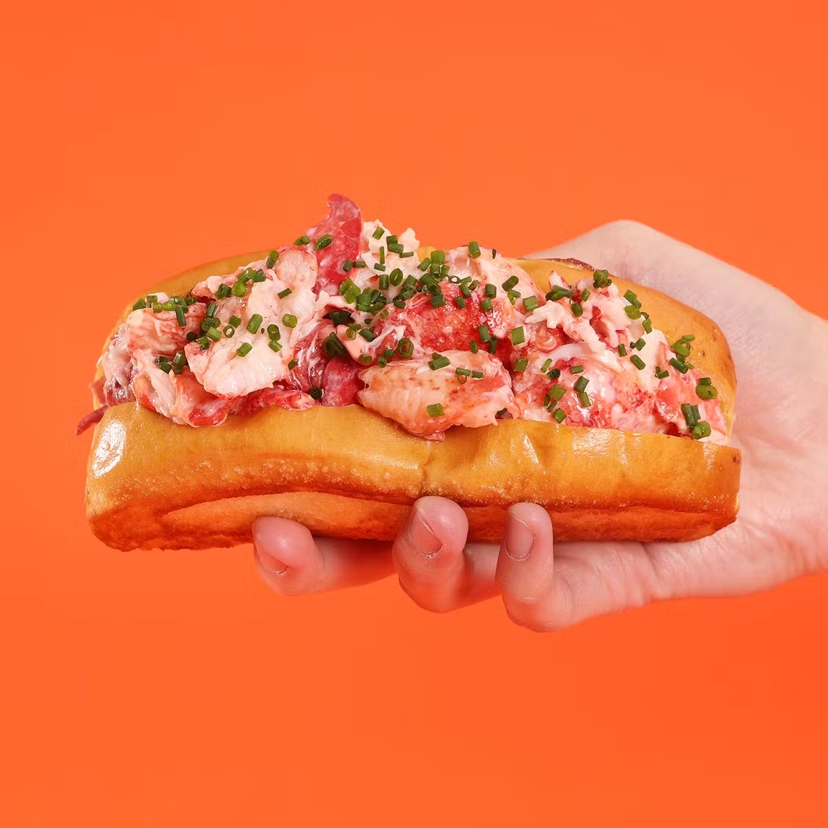 Lobster Roll Kit - 8 Pack