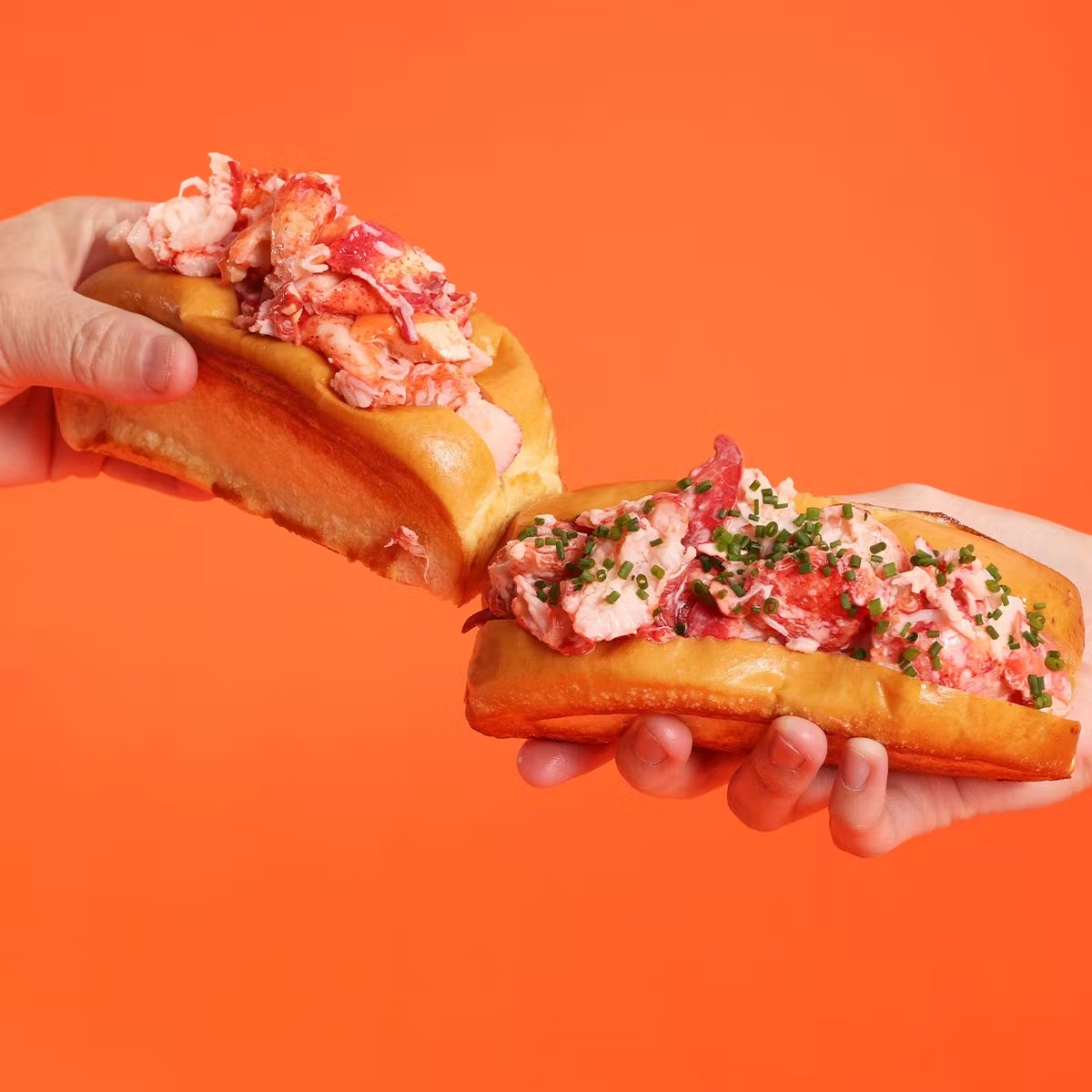 20441-lobster-roll-kit-8-pack-1.jpg