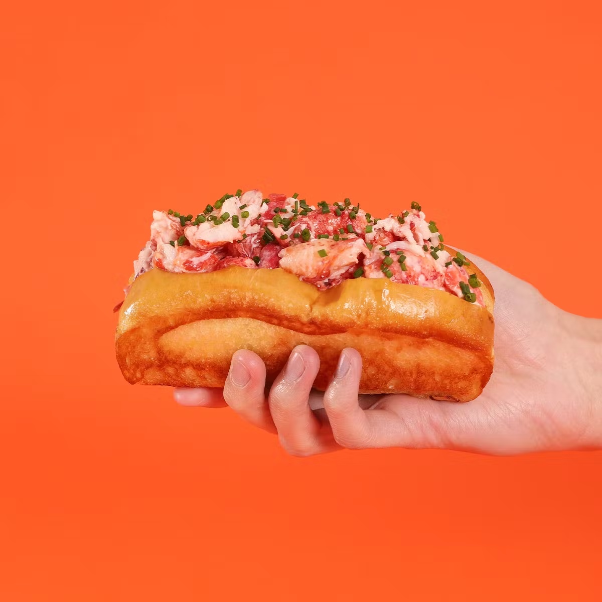 Lobster Roll Kit - 4 Pack