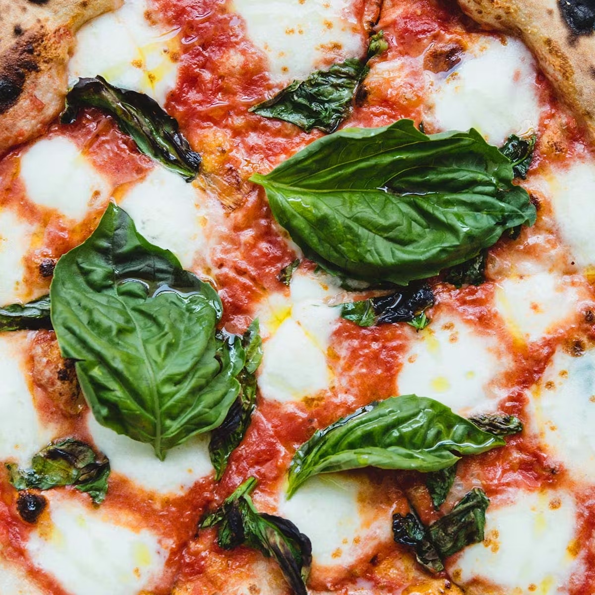 20548-neapolitan-pizza-choose-your-own-2-pack-1.jpg
