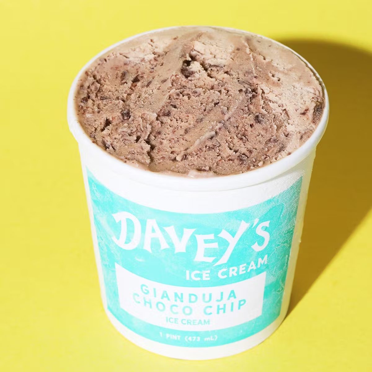 "Gianduja" Chocolate Hazelnut Ice Cream - 4 Pack