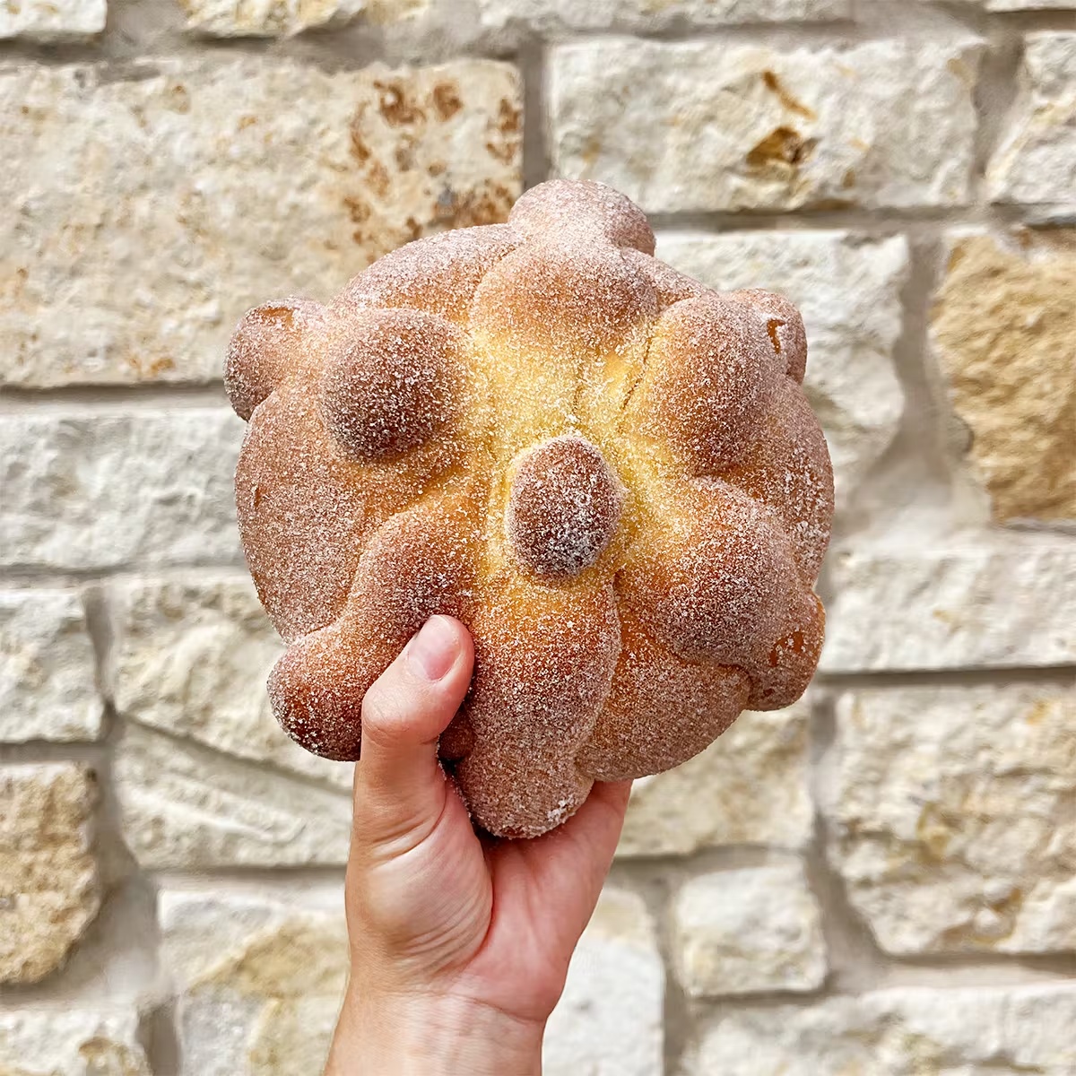 Pan De Muerto - 12 Pack