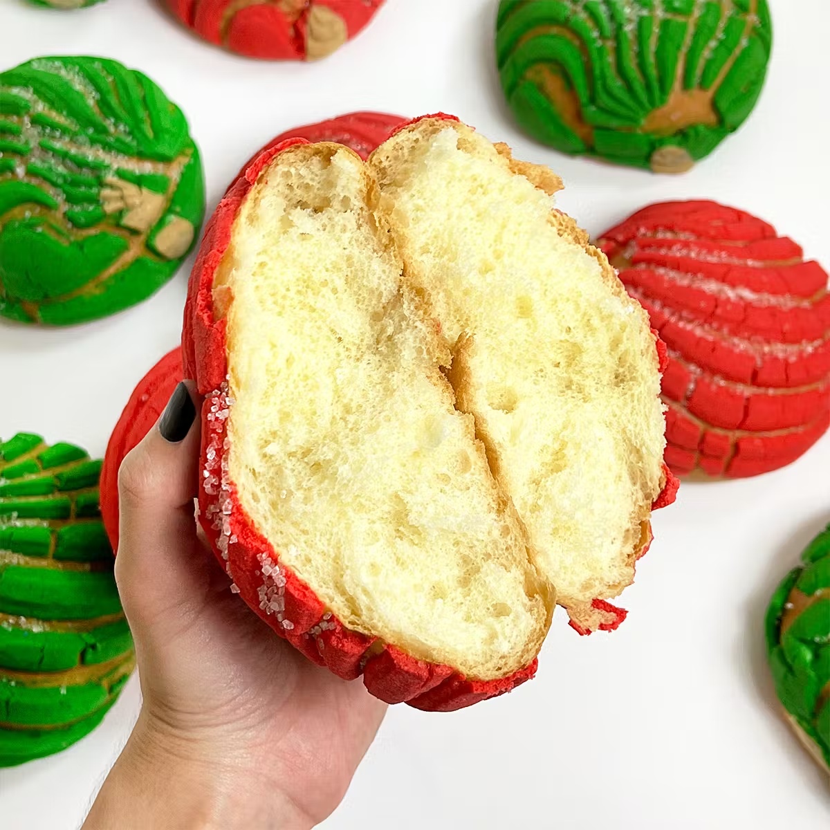 21202-christmas-concha-sweet-bread-12-pack-1.jpg