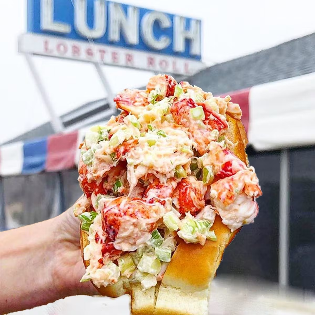 Classic Lobster Roll Kit - 8 Pack