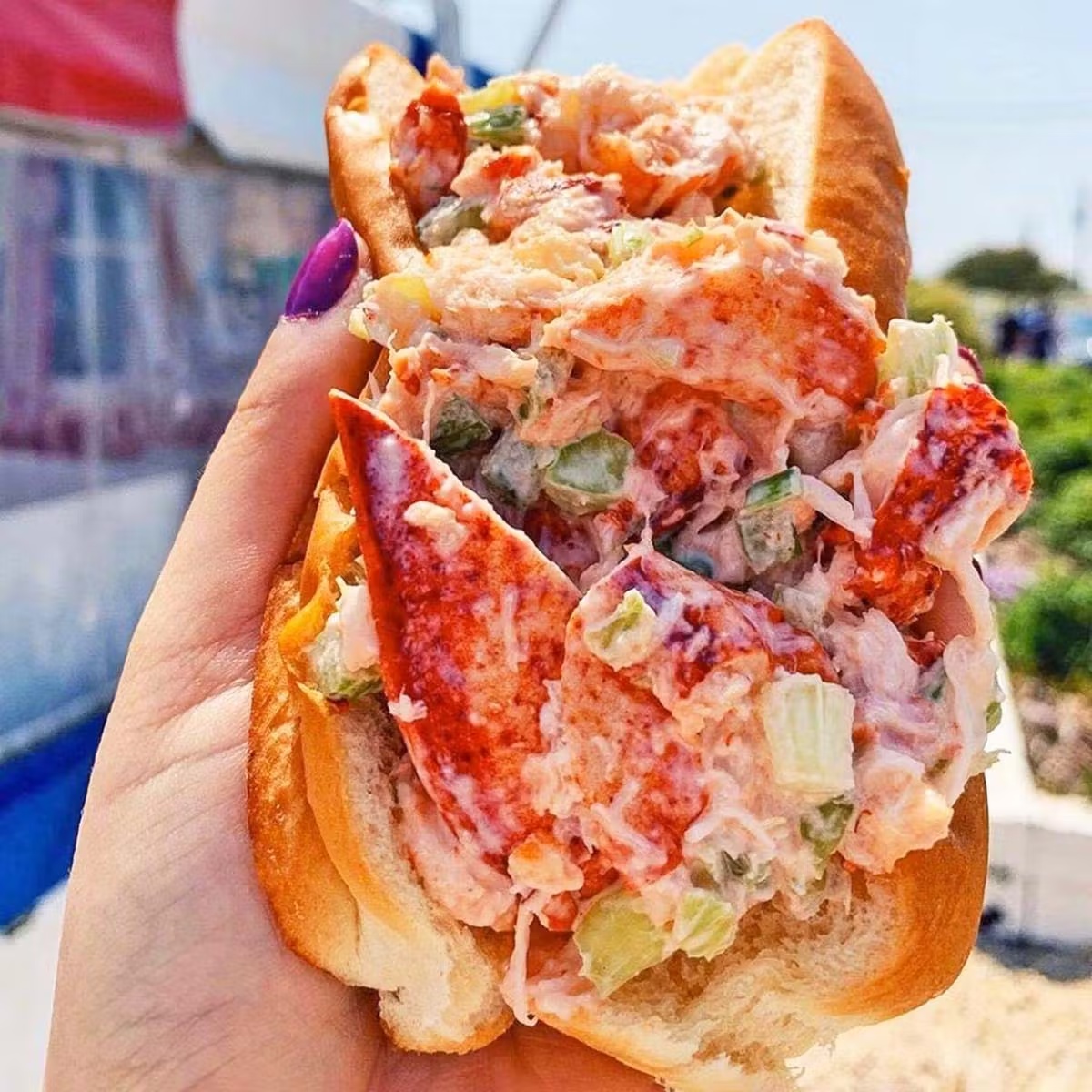Classic Lobster Roll Kit - 8 Pack