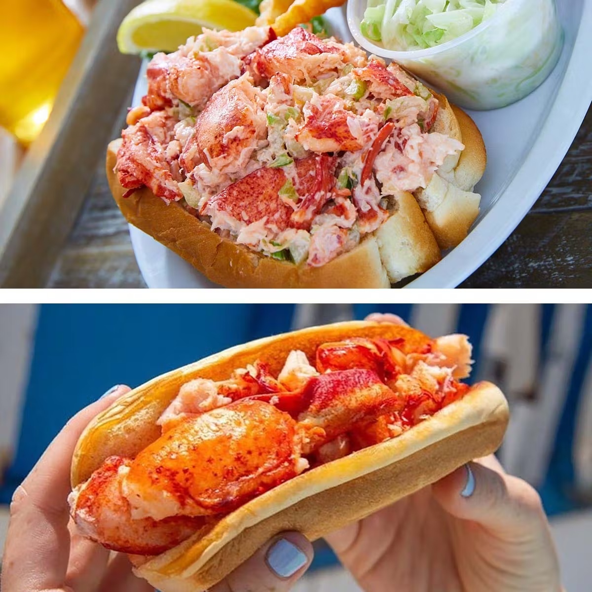 Lobster Roll Combo Kit - 8 Pack