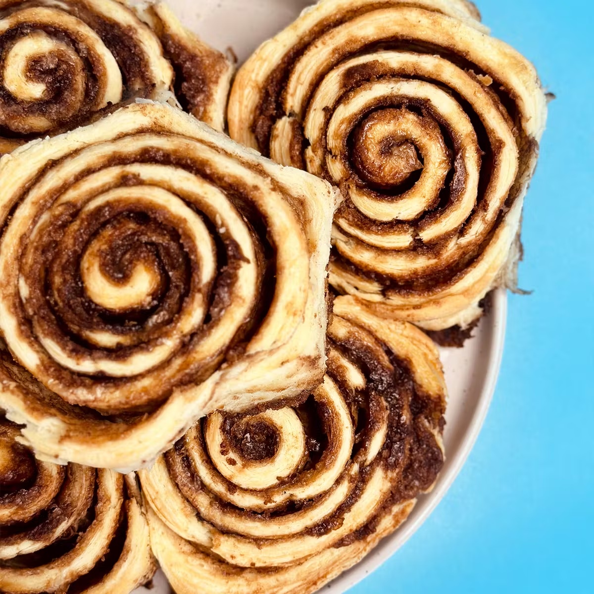Biscuit Cinnamon Rolls - 8 Pack