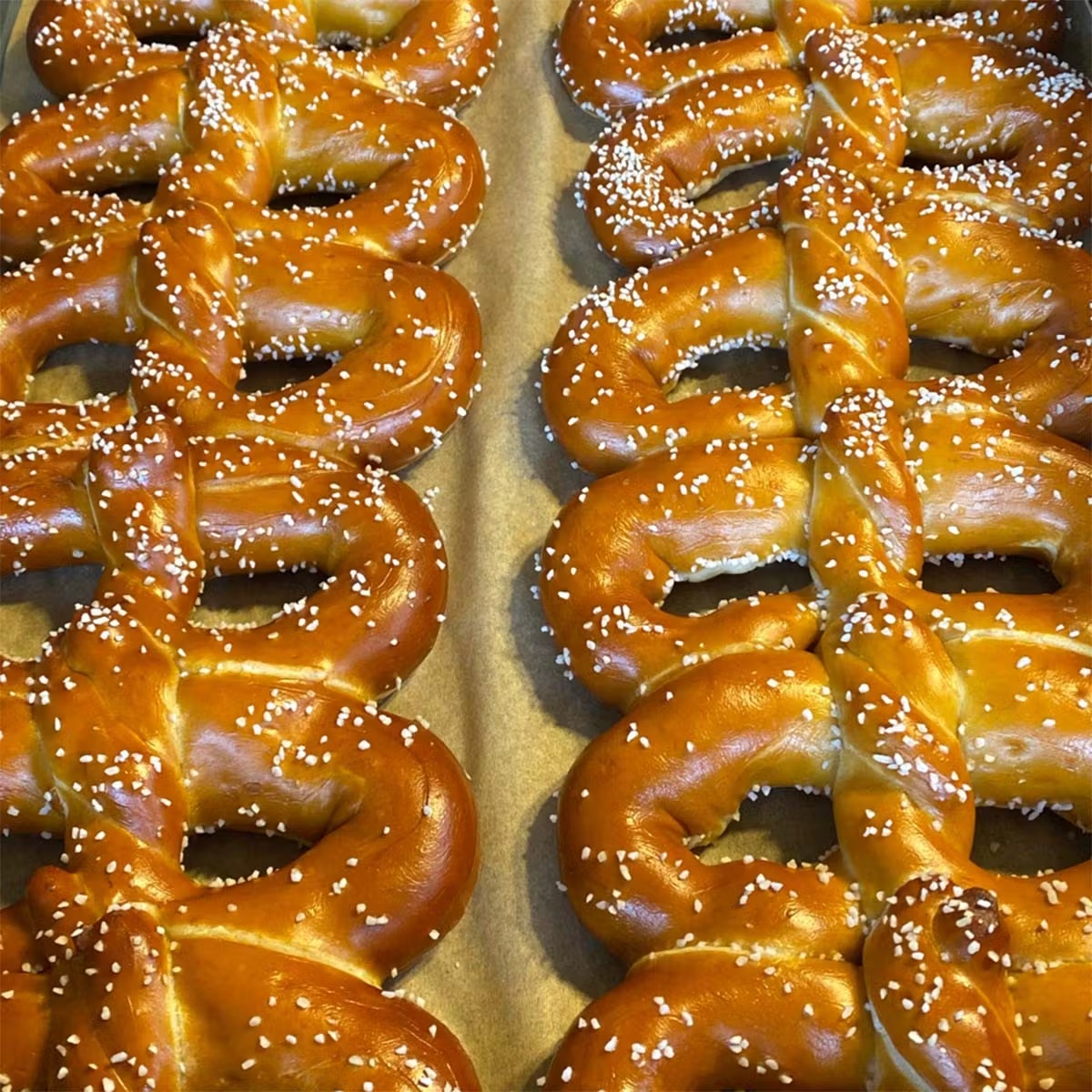 21875–the-classic-philly-style-soft-pretzels-mustard-8-pack-1.jpg