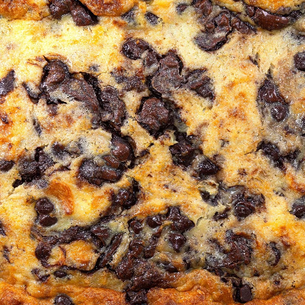 Dark Chocolate & Nutella Croissant Bread Pudding Tray