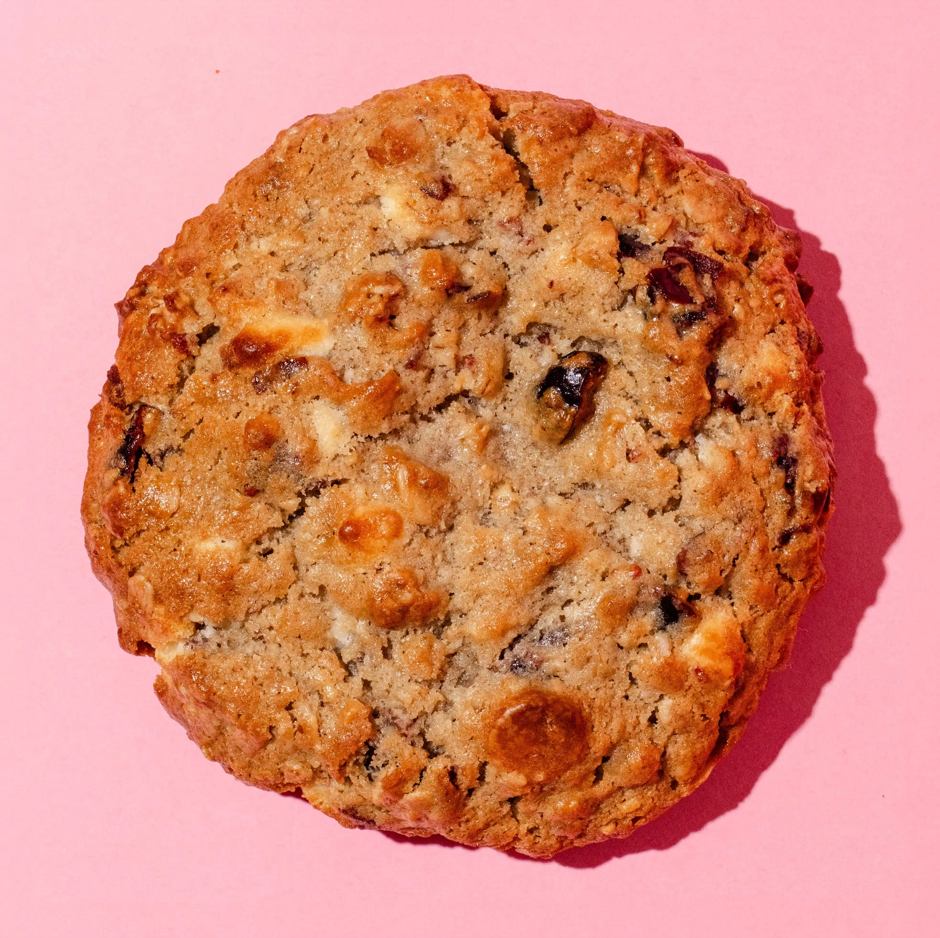 Thanksgiving JUMBO Cookies - 6 Pack