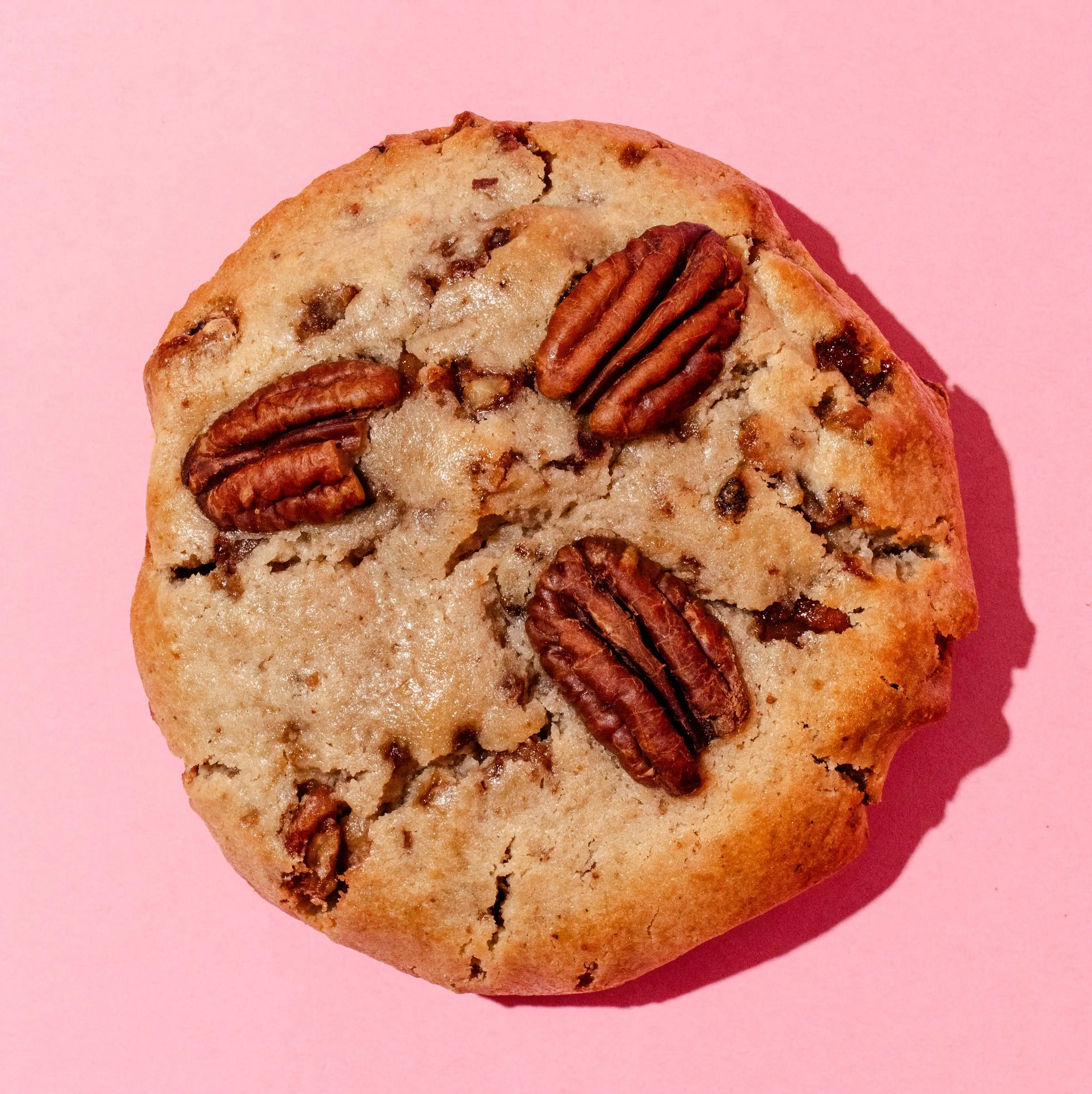 21995-thanksgiving-jumbo-cookies-6-pack-1.webp