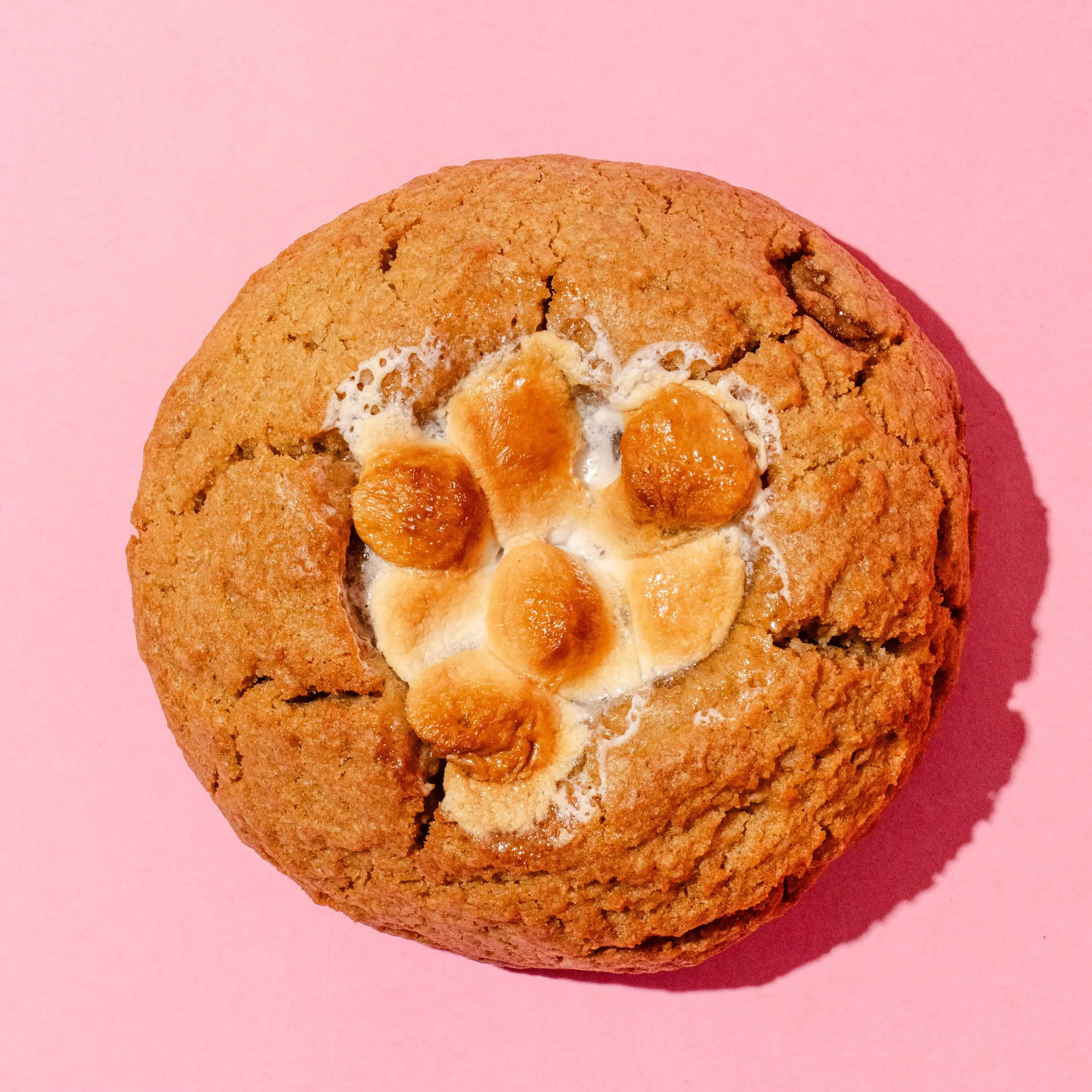 21996-thanksgiving-jumbo-cookies-12-pack-1.webp