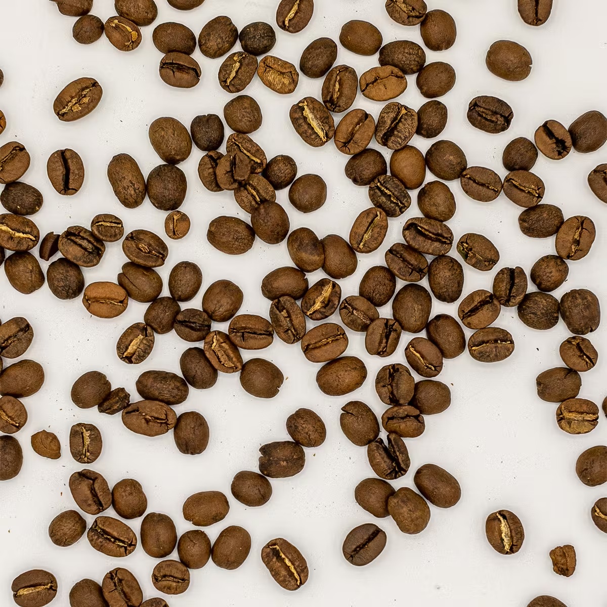 Carissa's Coffee Beans - 2 Pack