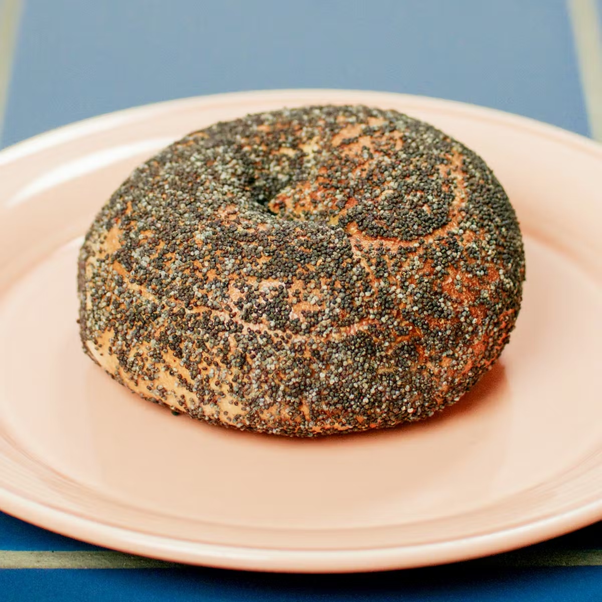 22272-bagel-brunch-kit-for-6-8-1.jpg