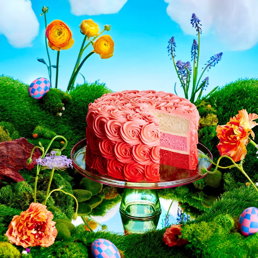 22340-pink-ombr-cake-1.jpg
