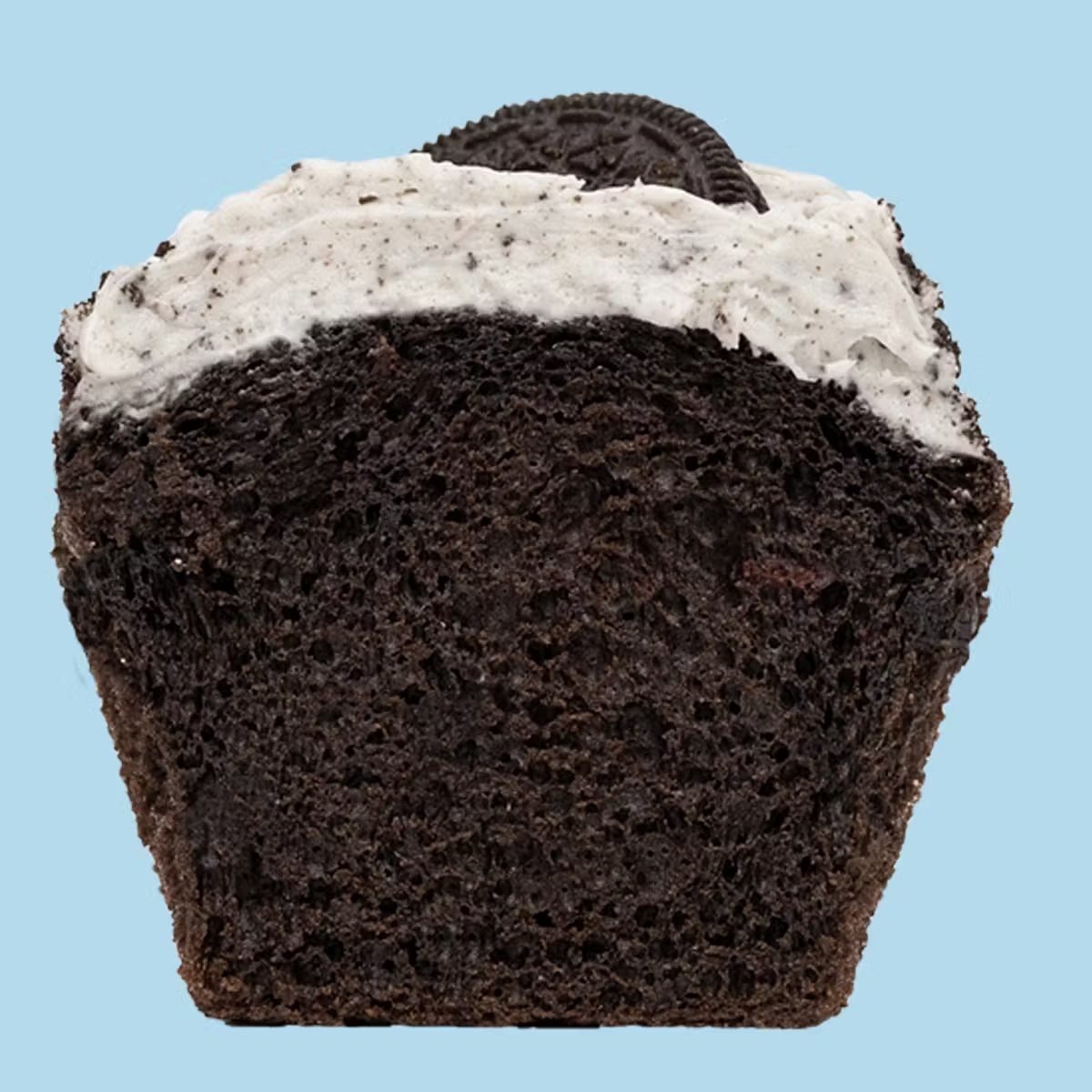 22597–chocolate-lovers-cupcakes-12-pack-1.jpg
