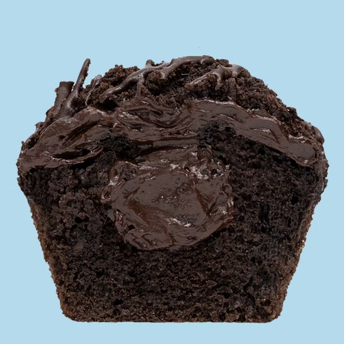 22597–chocolate-lovers-cupcakes-12-pack-1.jpg