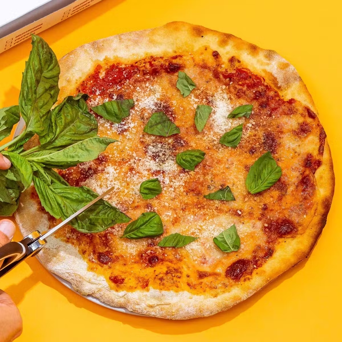 Monthly PIZZA Subscription