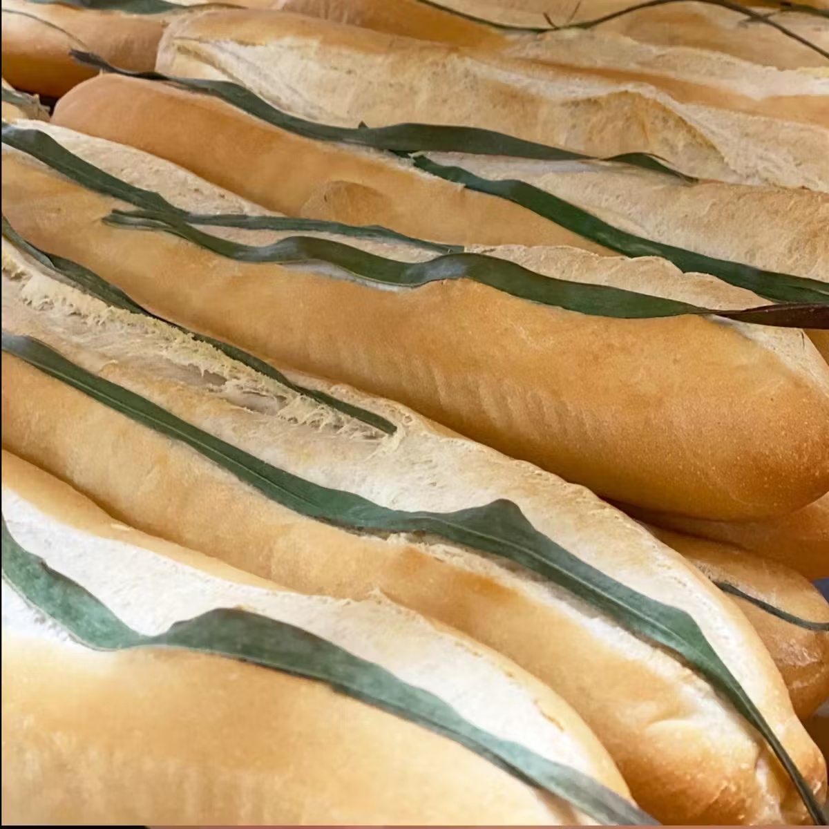 23533-cuban-bread-36-20-pack-1.jpg