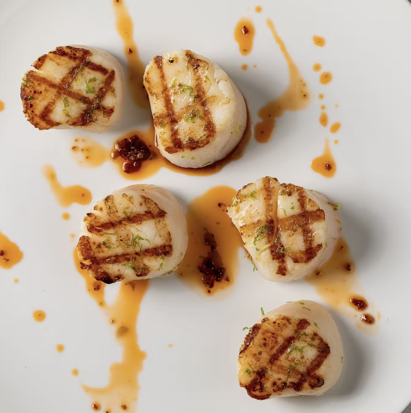 Maine Diver Scallops