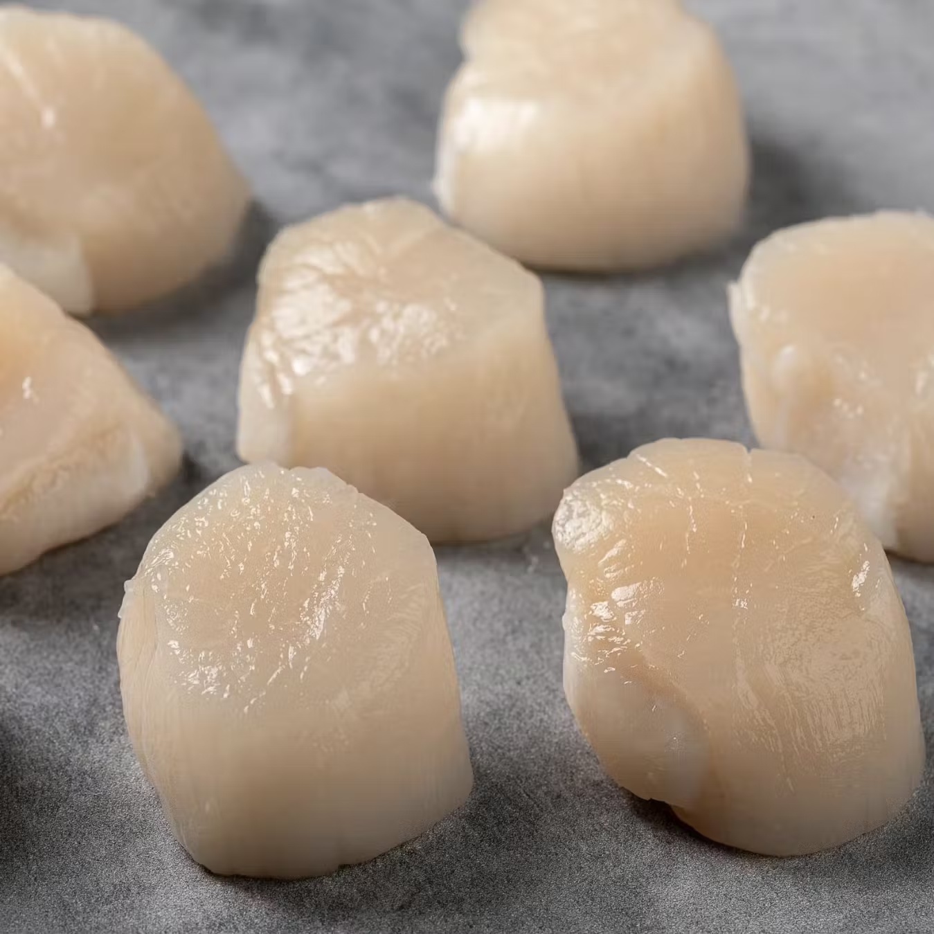 Maine Diver Scallops