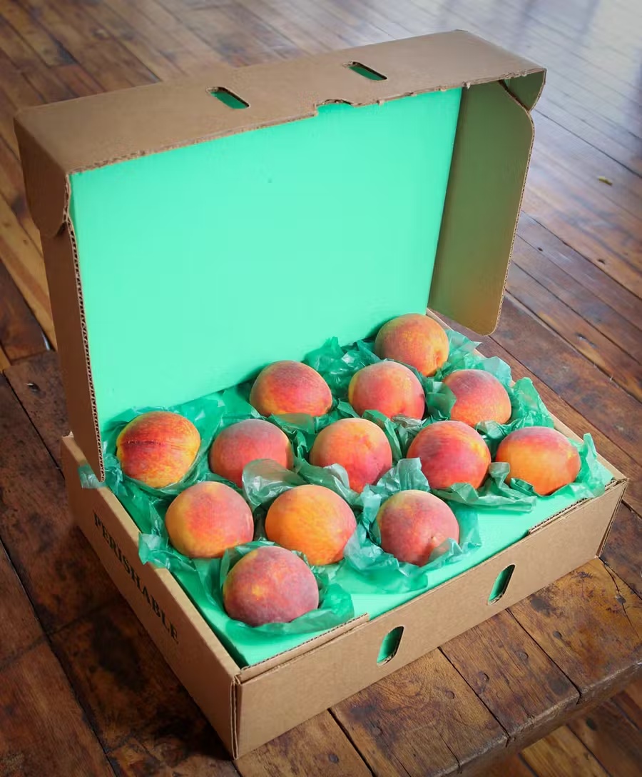 Farm Fresh Georgia Peaches