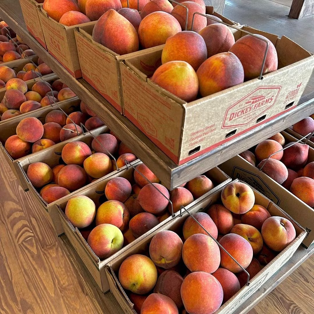 23811-farm-fresh-georgia-peaches-1.jpg
