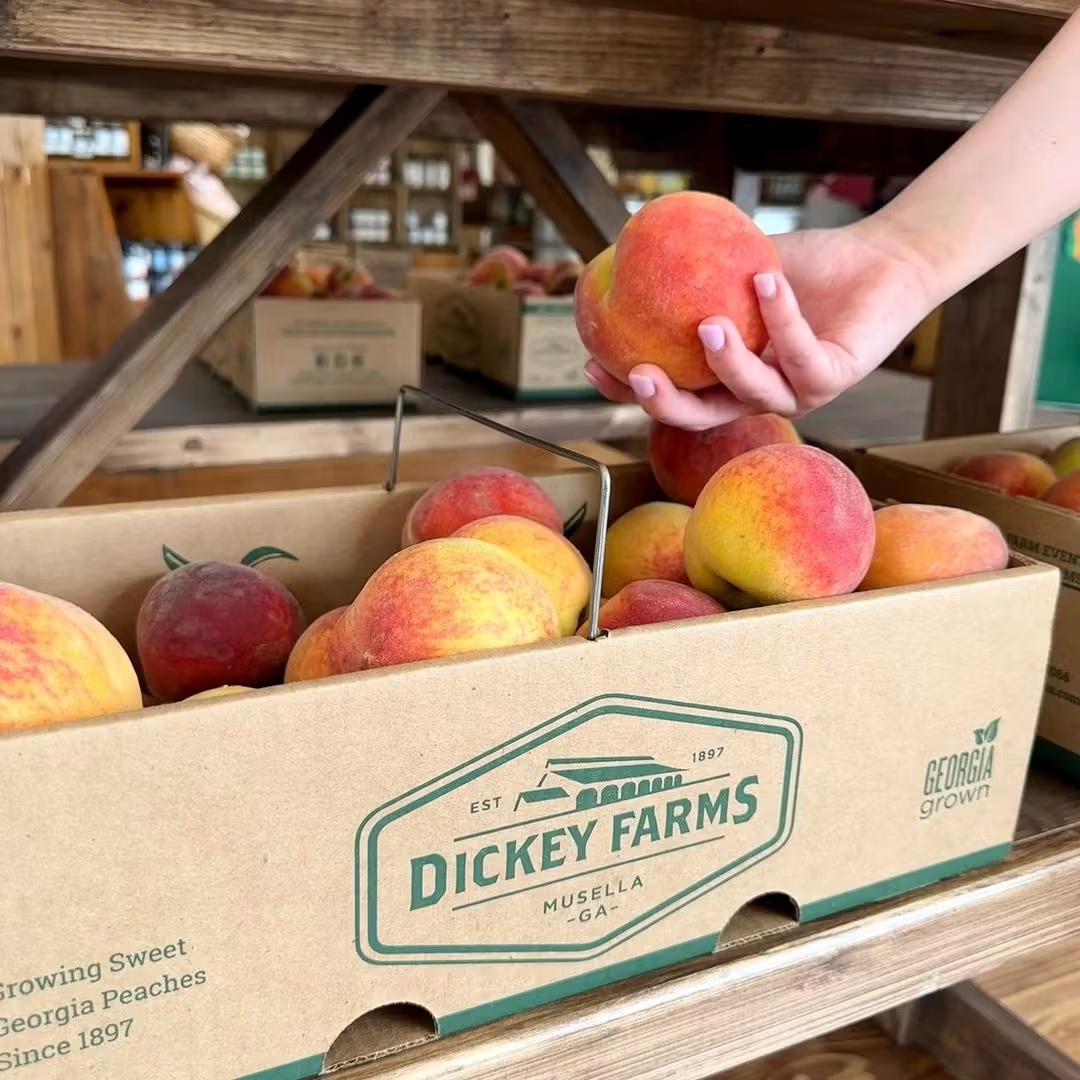 23811-farm-fresh-georgia-peaches-1.jpg