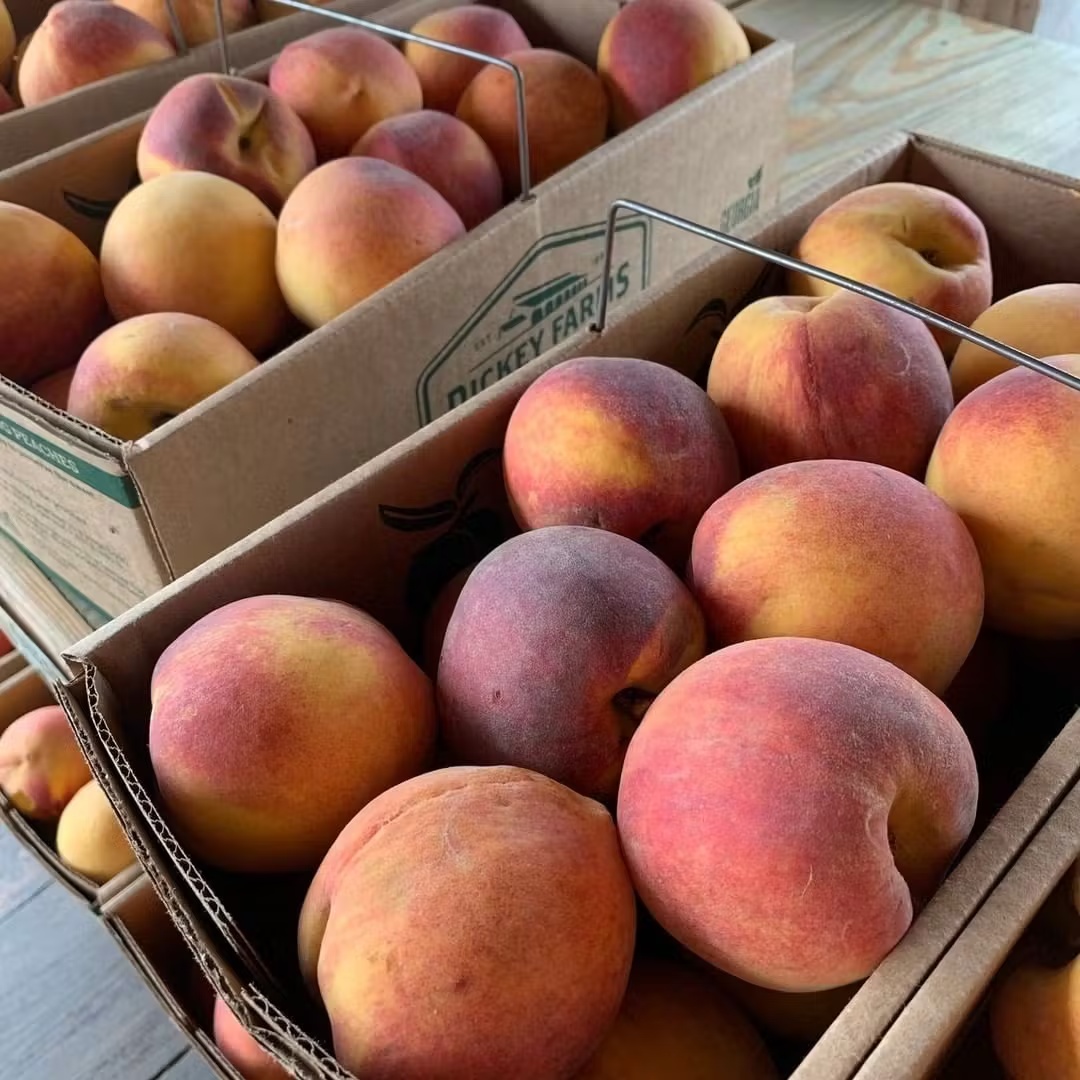 23811-farm-fresh-georgia-peaches-1.jpg