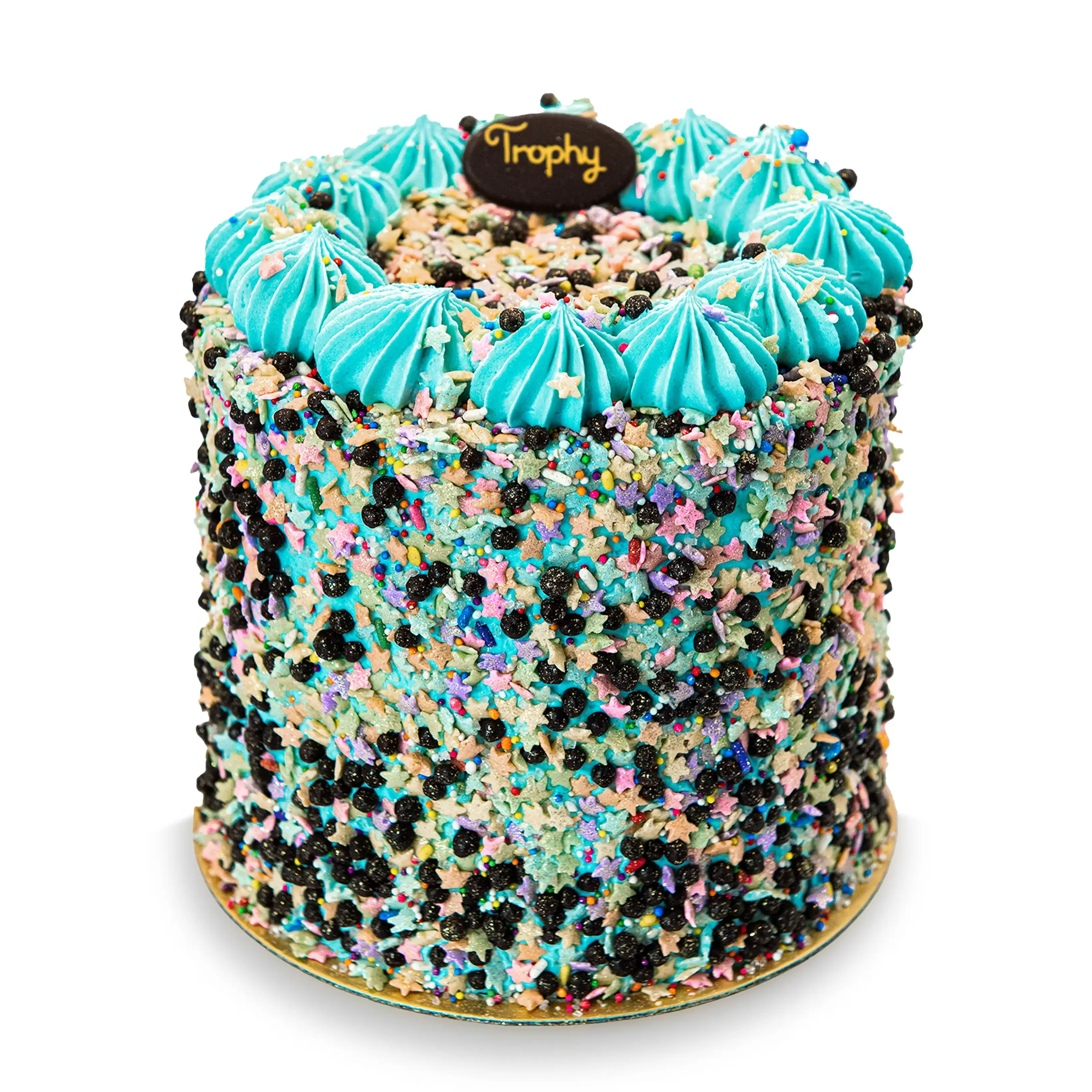 Chocolate Party Cake
