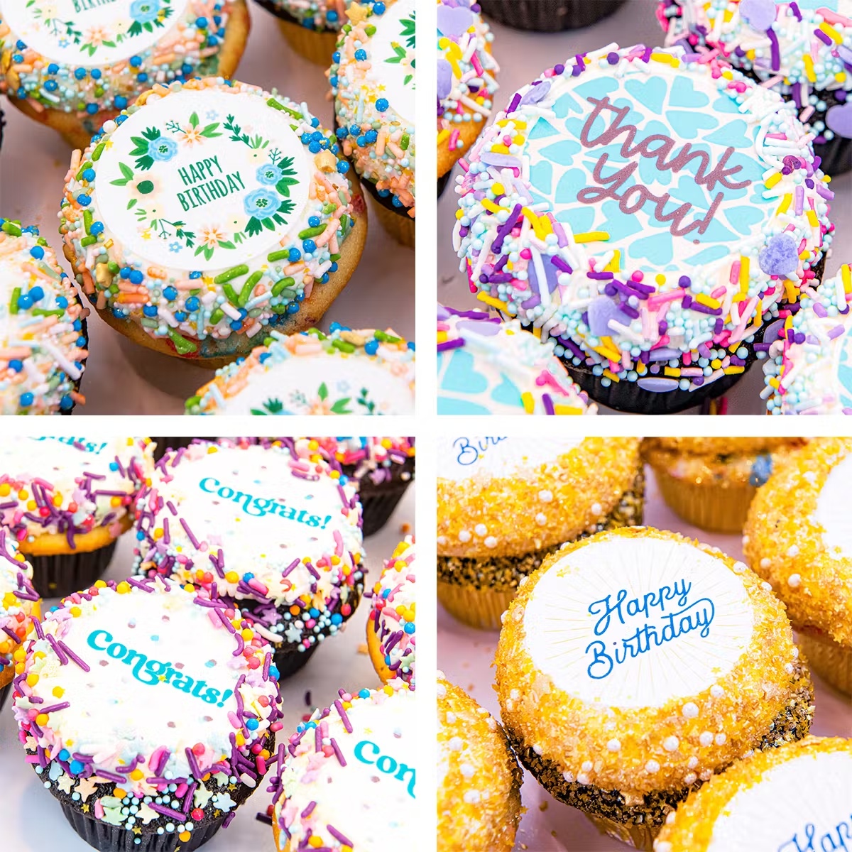 Message Cupcakes - Choose Your Own 12 Pack