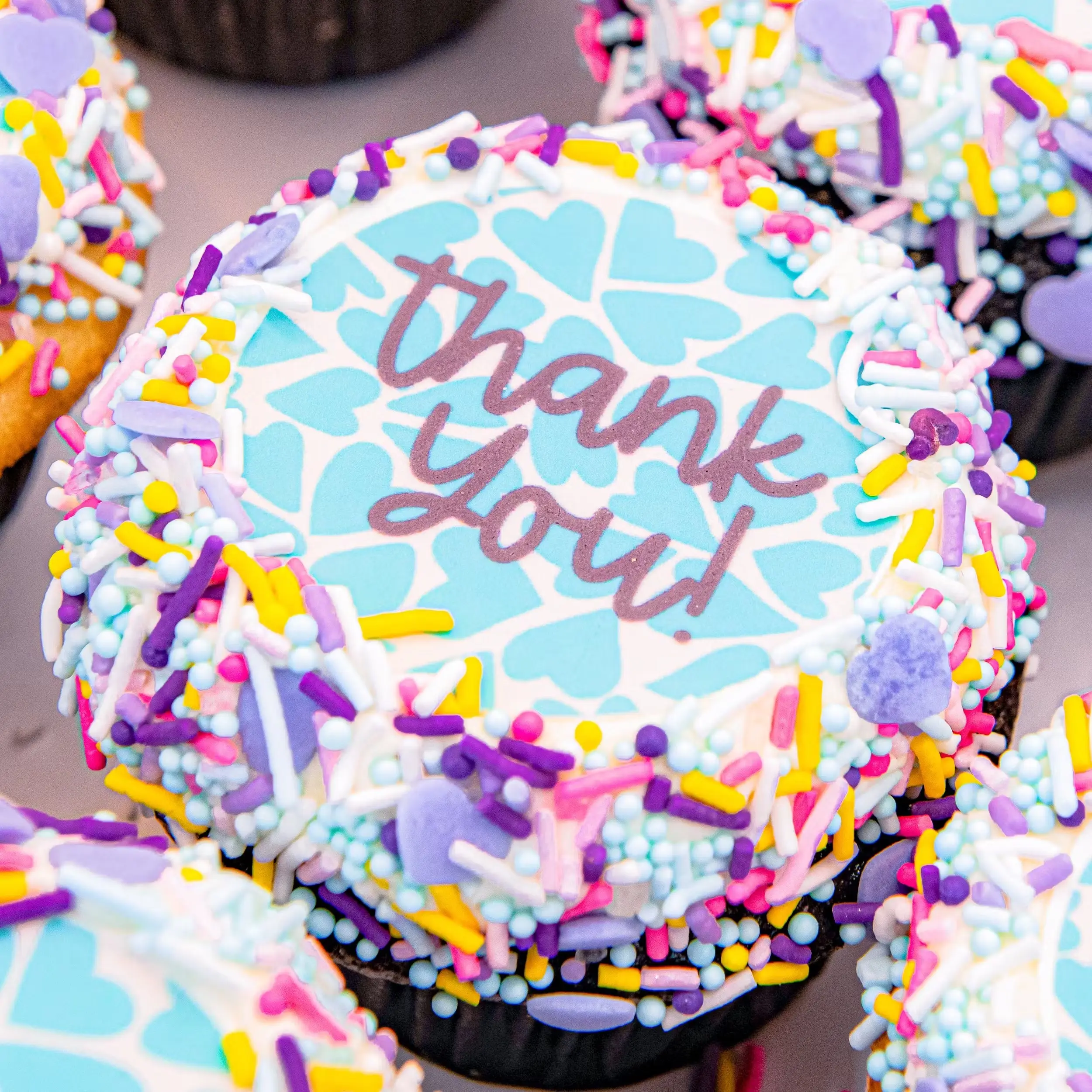 24574-message-cupcakes-choose-your-own-12-pack-1.jpg
