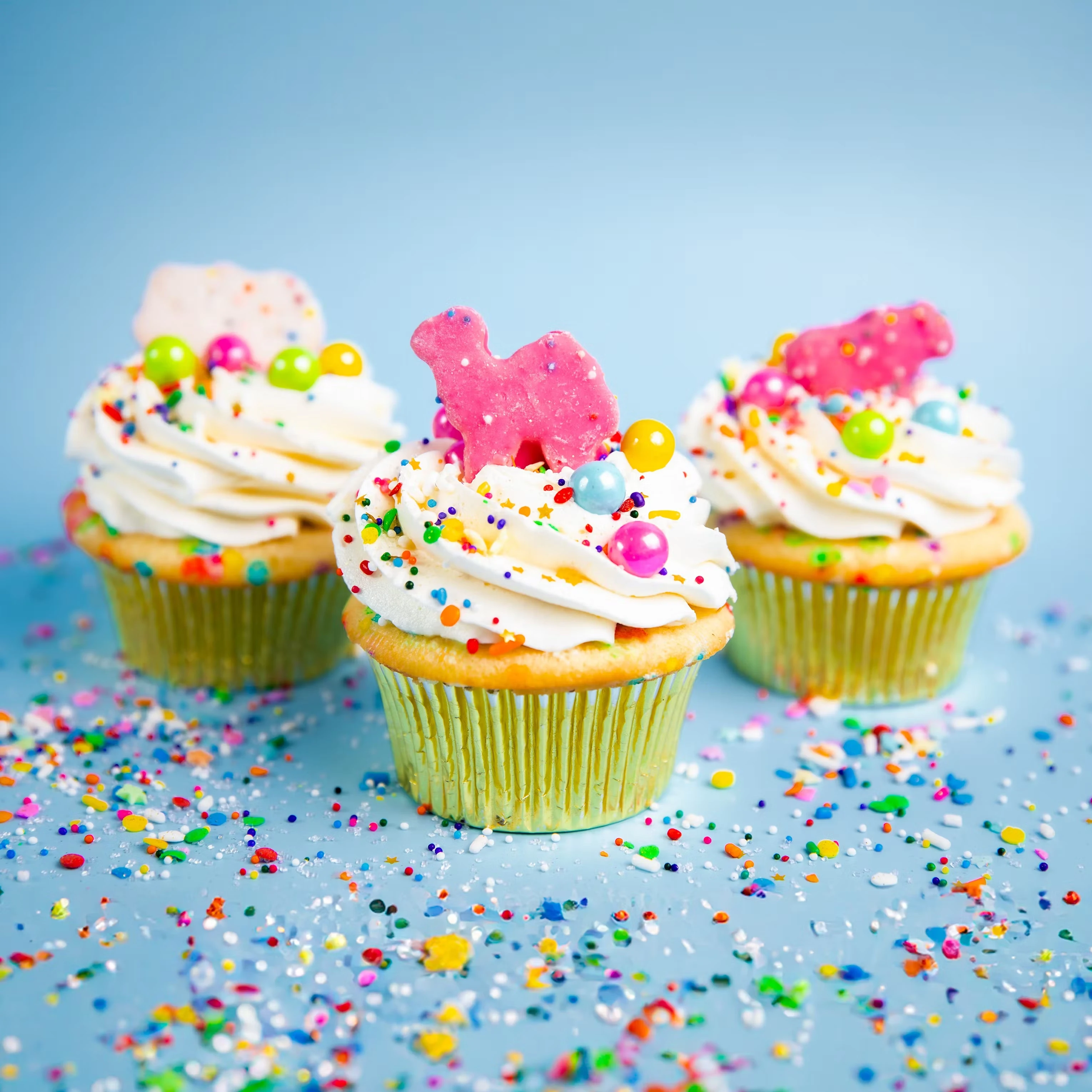 24575-cupcakes-choose-your-own-12-pack-1.jpg