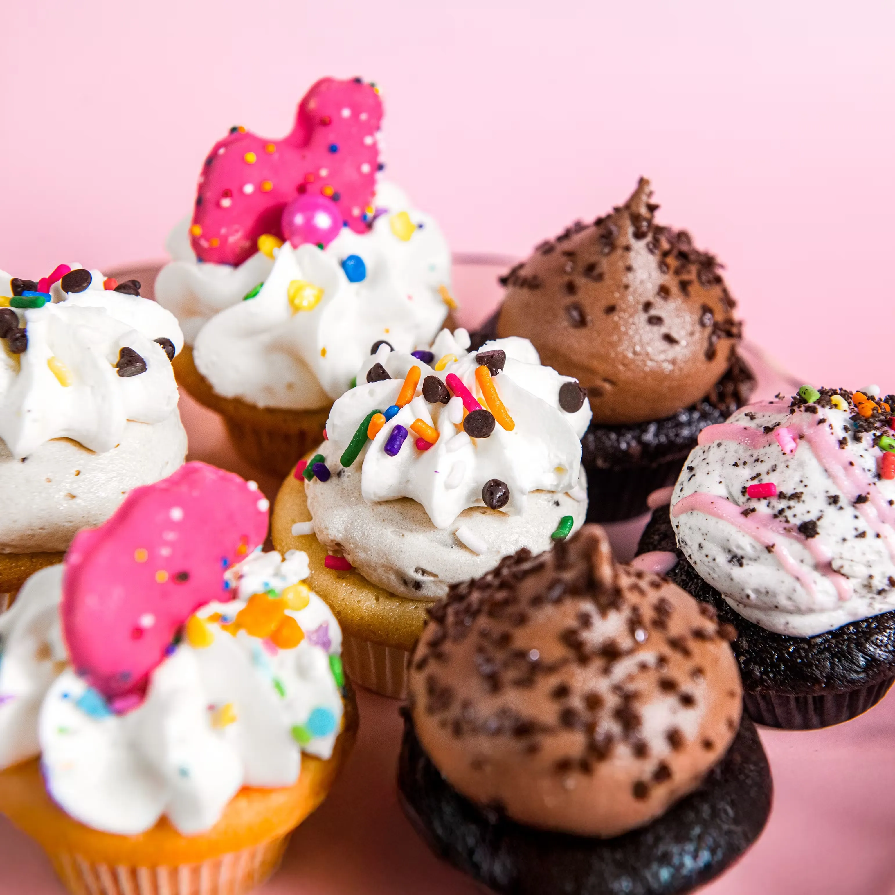 24697-mini-cupcake-sampler-12-pack-1.webp