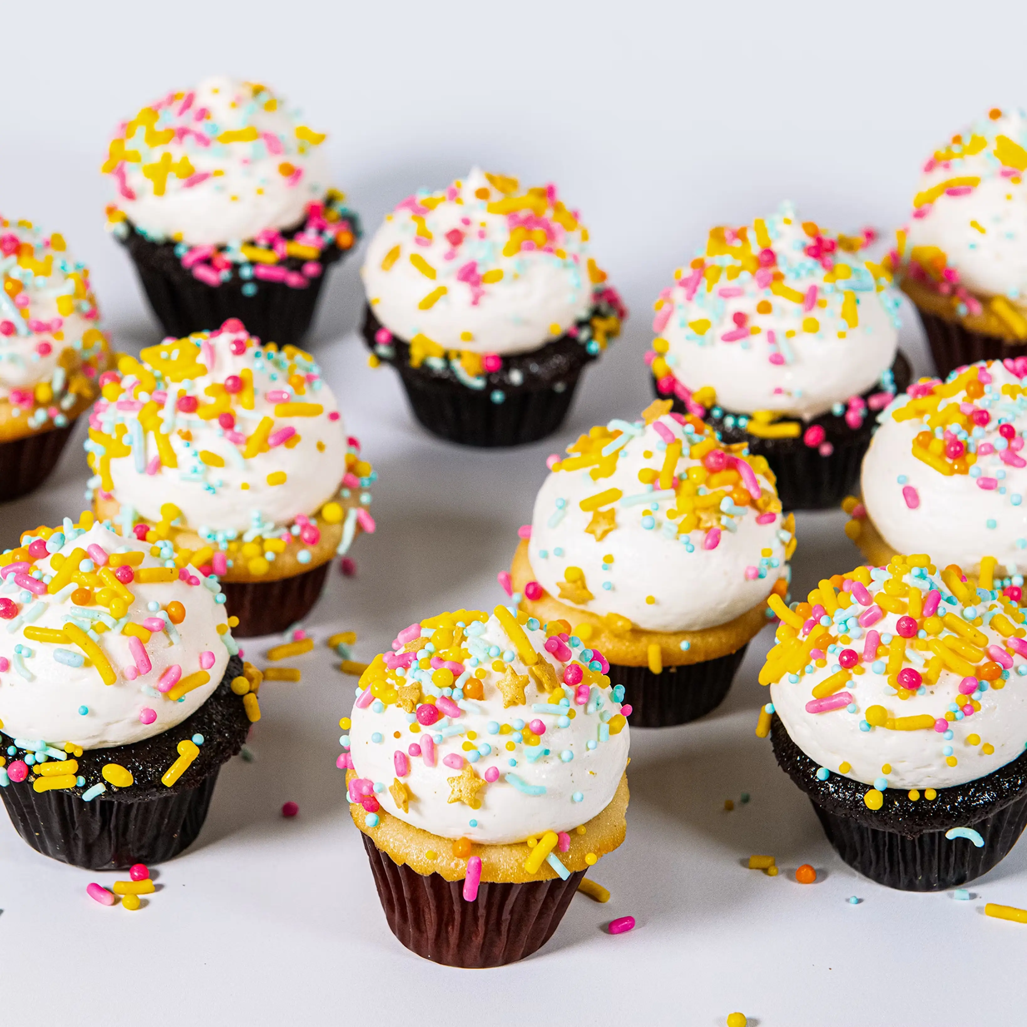 Mini Cupcakes Chocolate + Vanilla Combo - 12 Pack