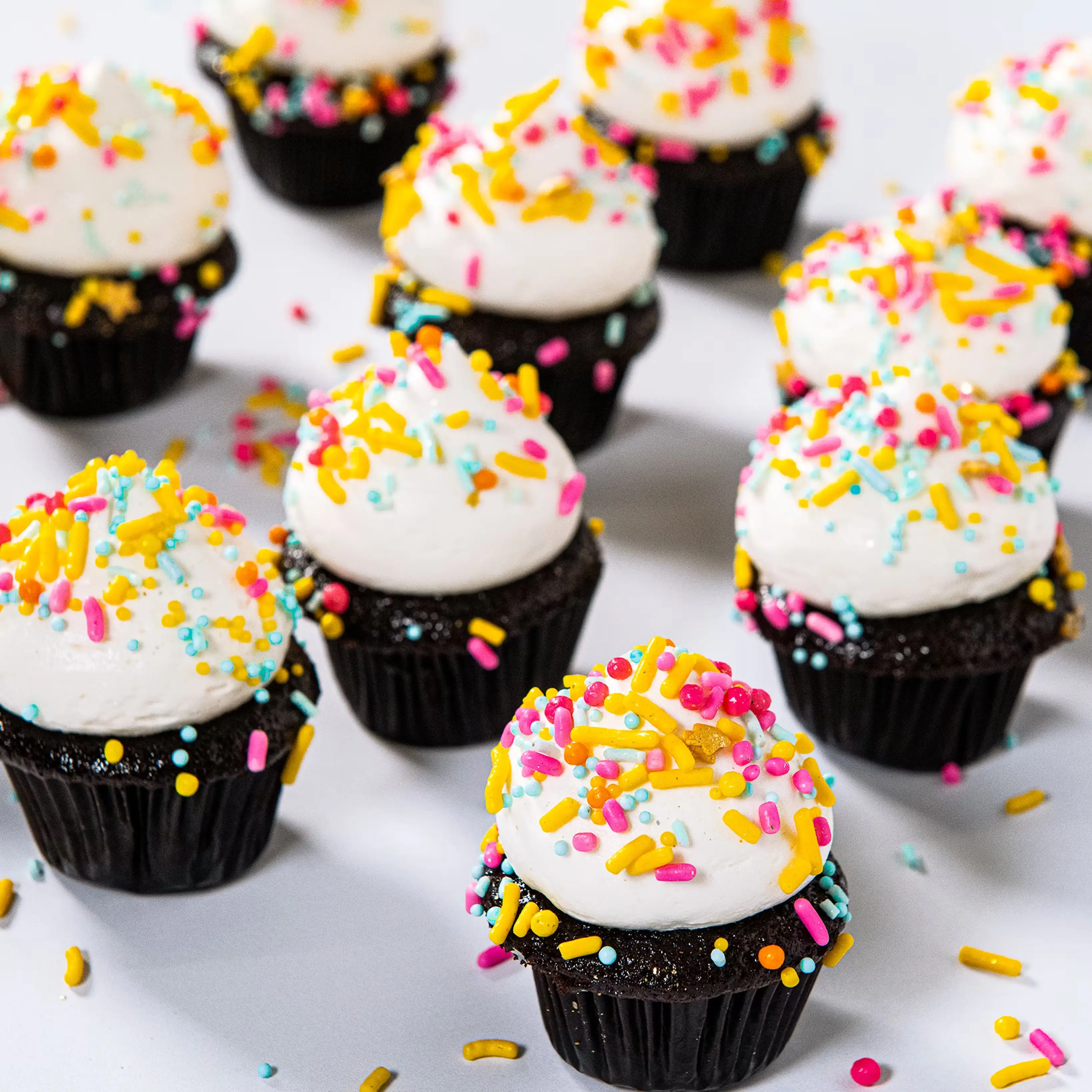 Gluten-Free Chocolate Vanilla Mini Cupcakes - 12 Pack 1 24699-gluten-free-chocolate-vanilla-mini-cupcakes-12-pack-1.webp