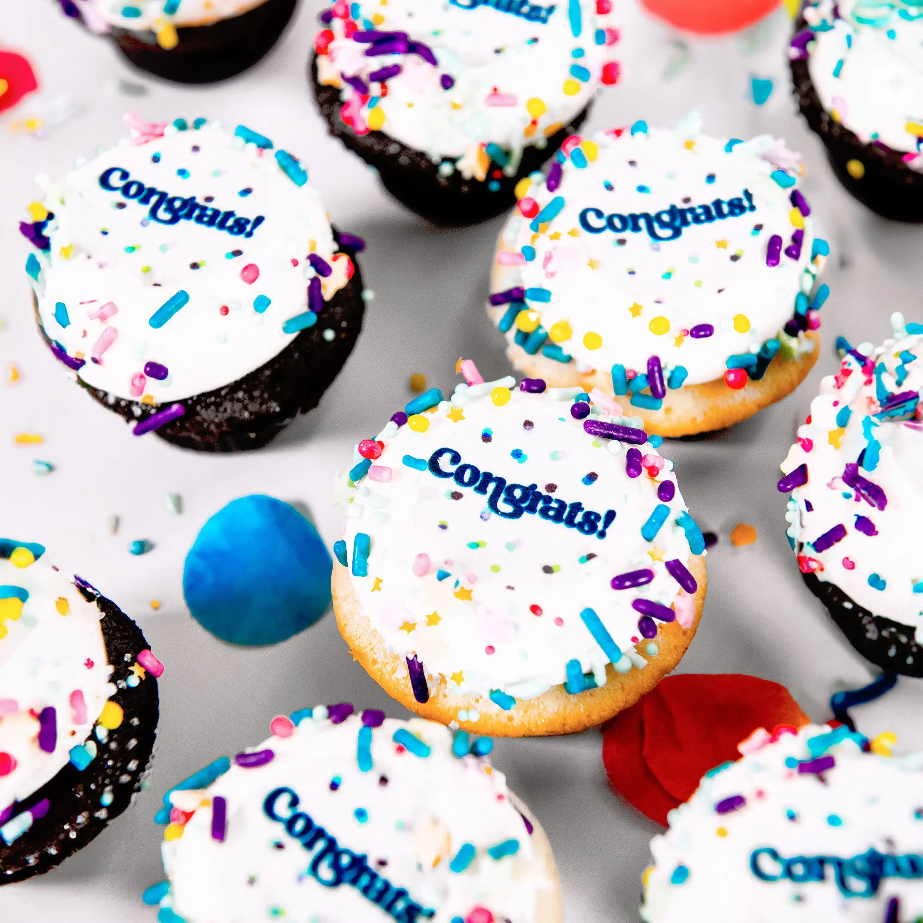 "Congrats" Mini Cupcakes - 12 Pack