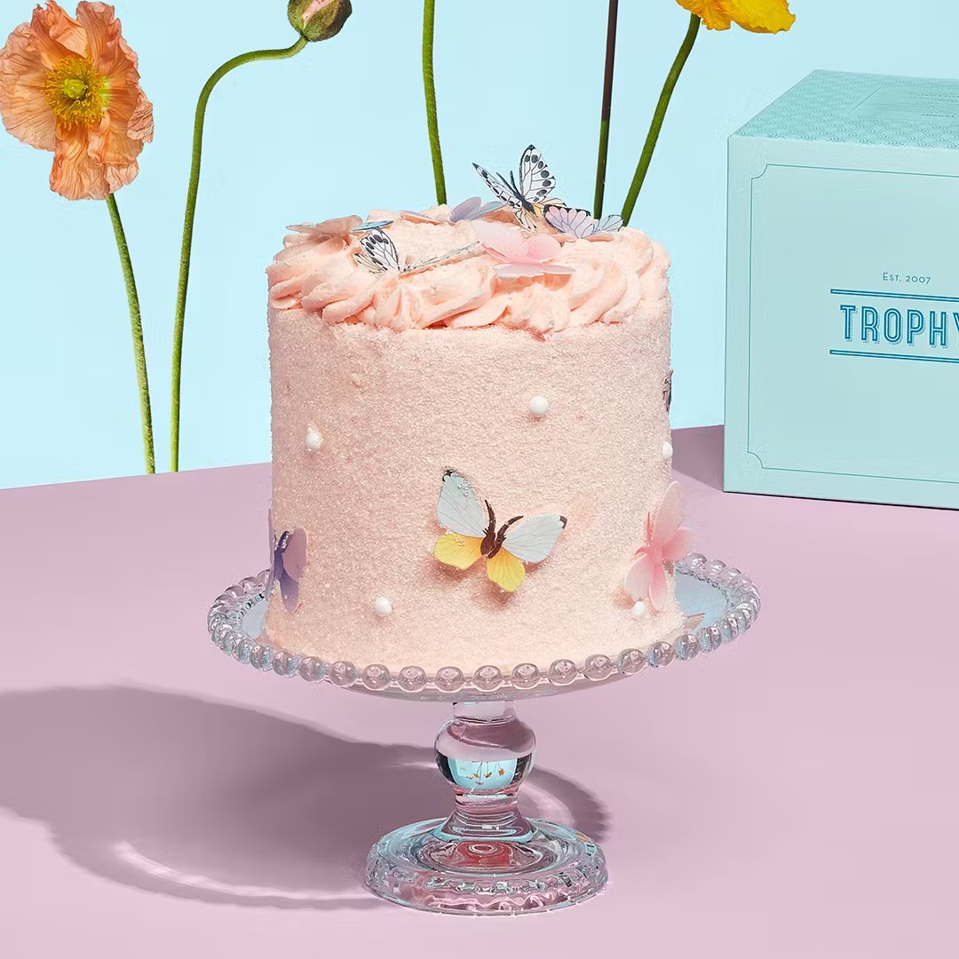 Butterfly Cake