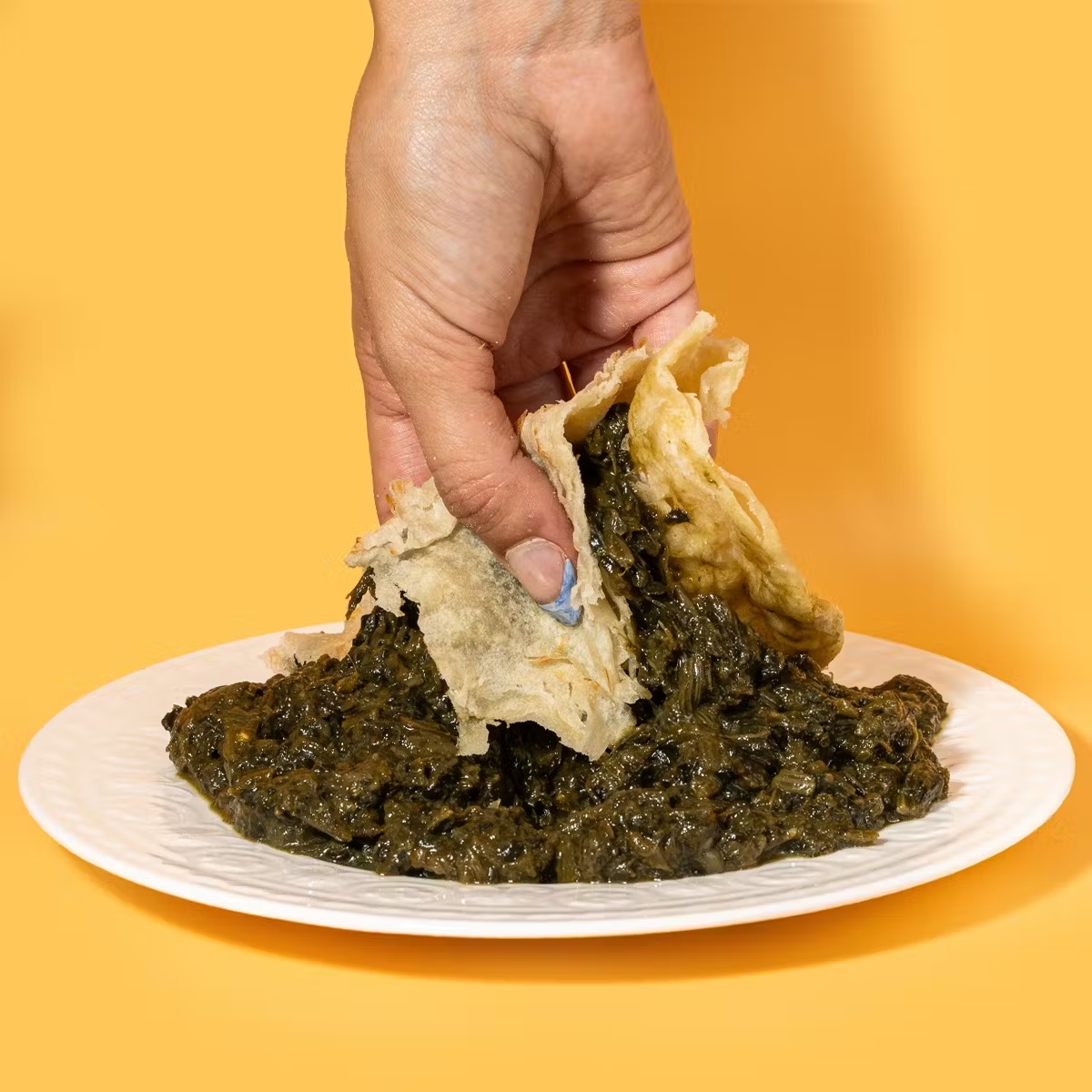 Caribbean Entree + Roti - Choose Your Own For 6-8 - Goldbelly
