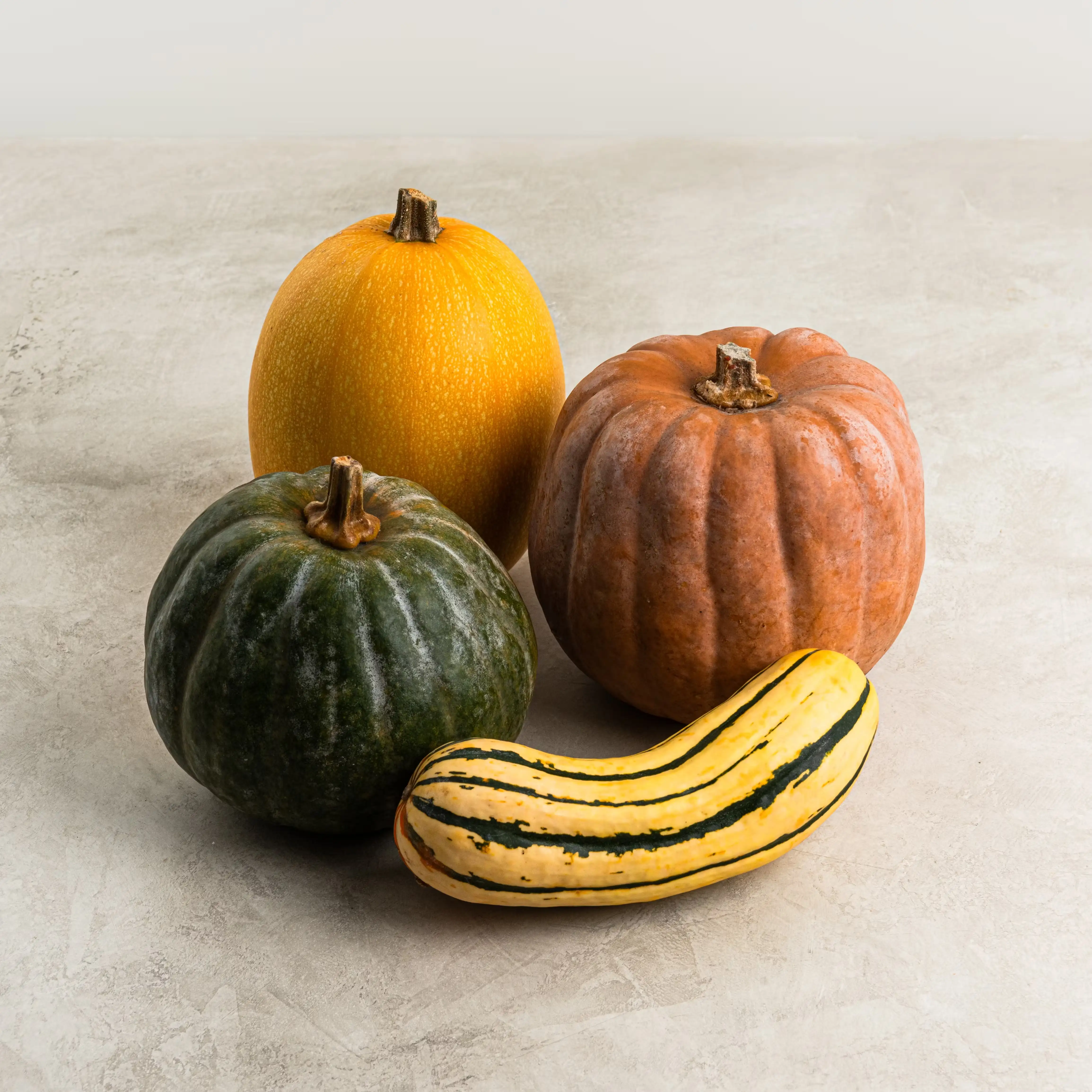 Fall Squash Sampler - 6-8 lbs.