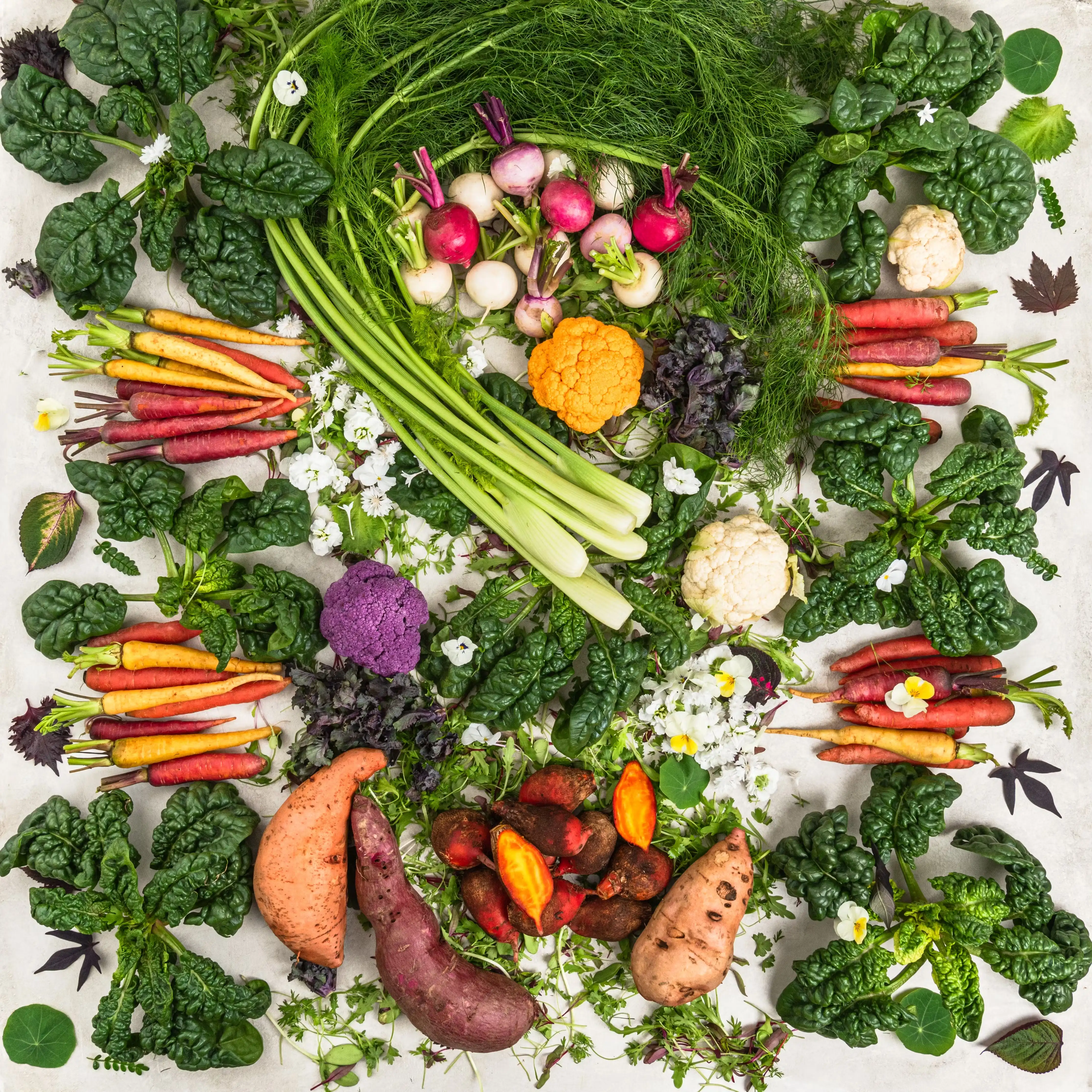 "Home for the Holidays" Seasonal Vegetables - 12-16 lbs.