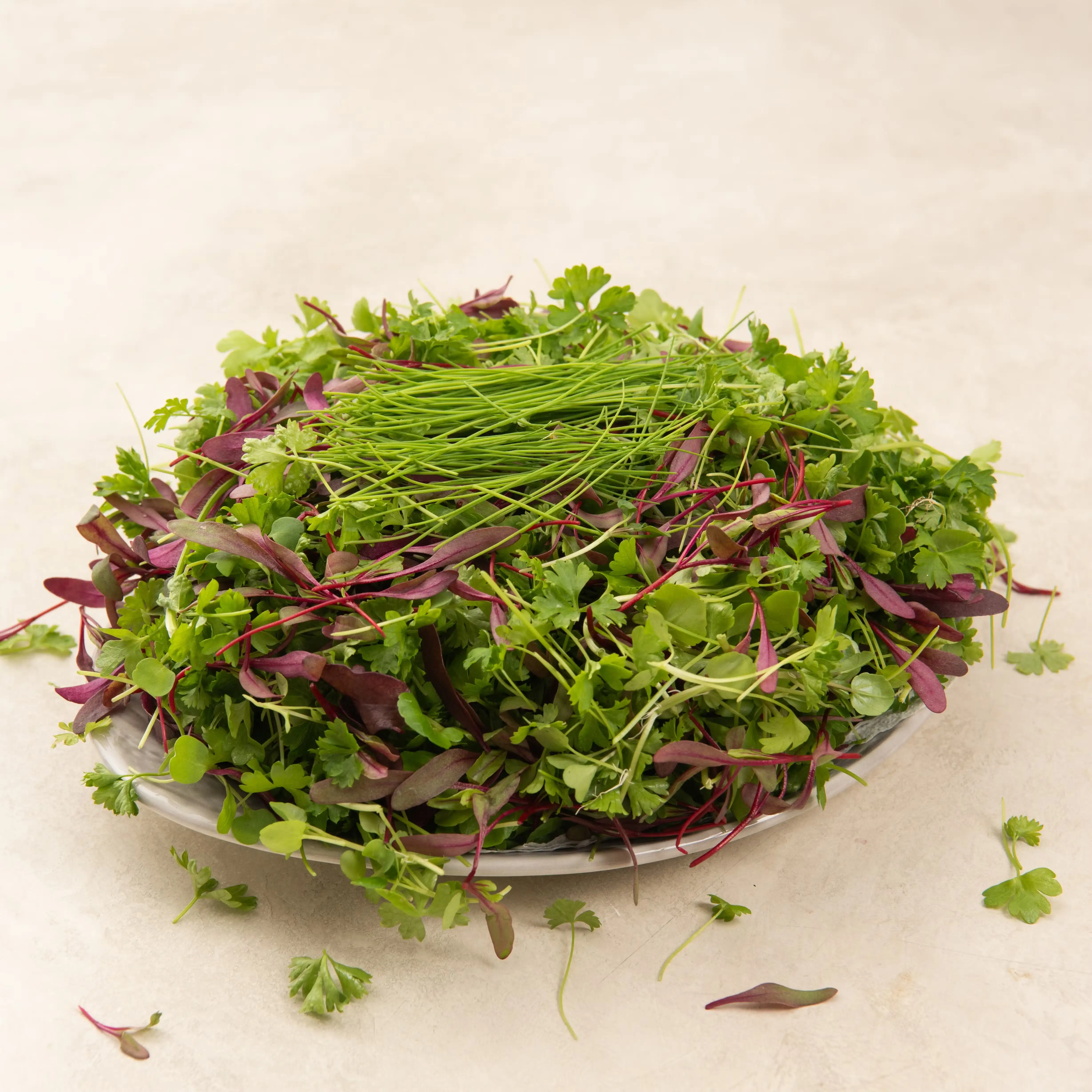 Powerhouse Microgreens - 1 lb.