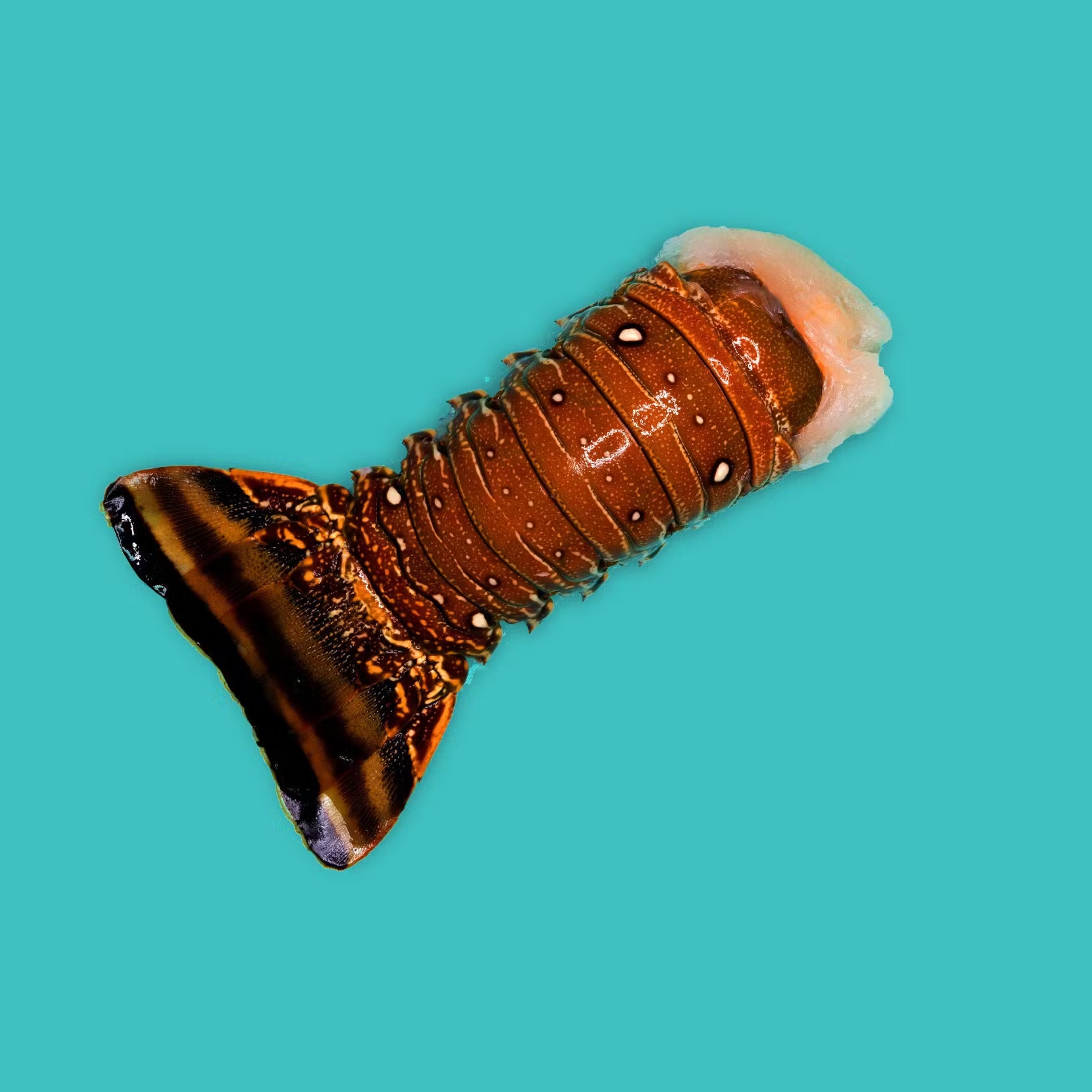 Frozen Lobster Tails (Frozen)